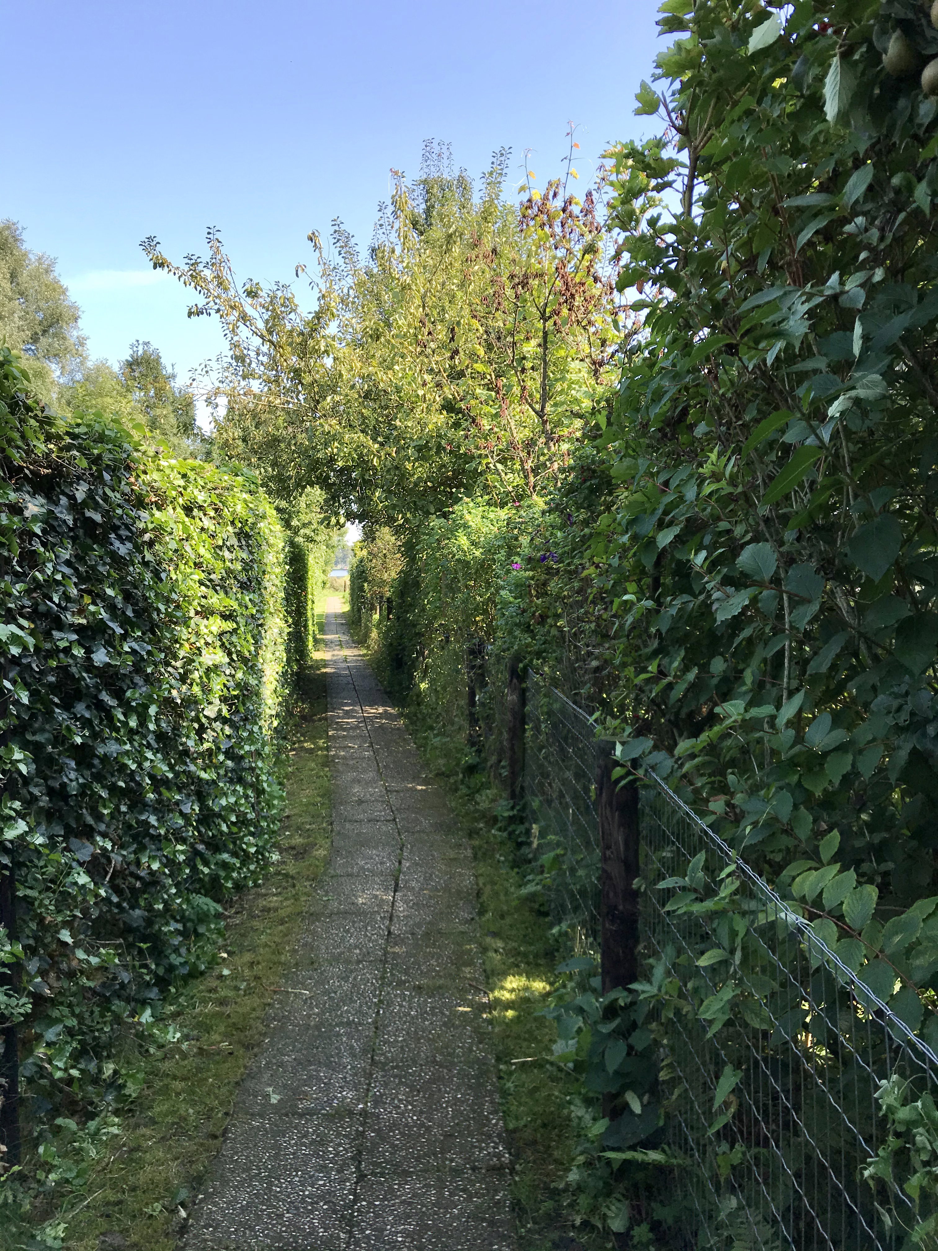 Natuurhuisje in Giethoorn