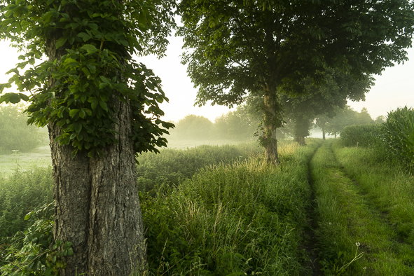 - image: 24