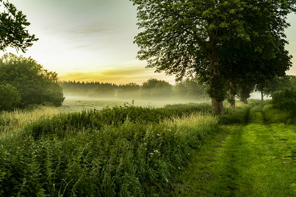 - image: 27