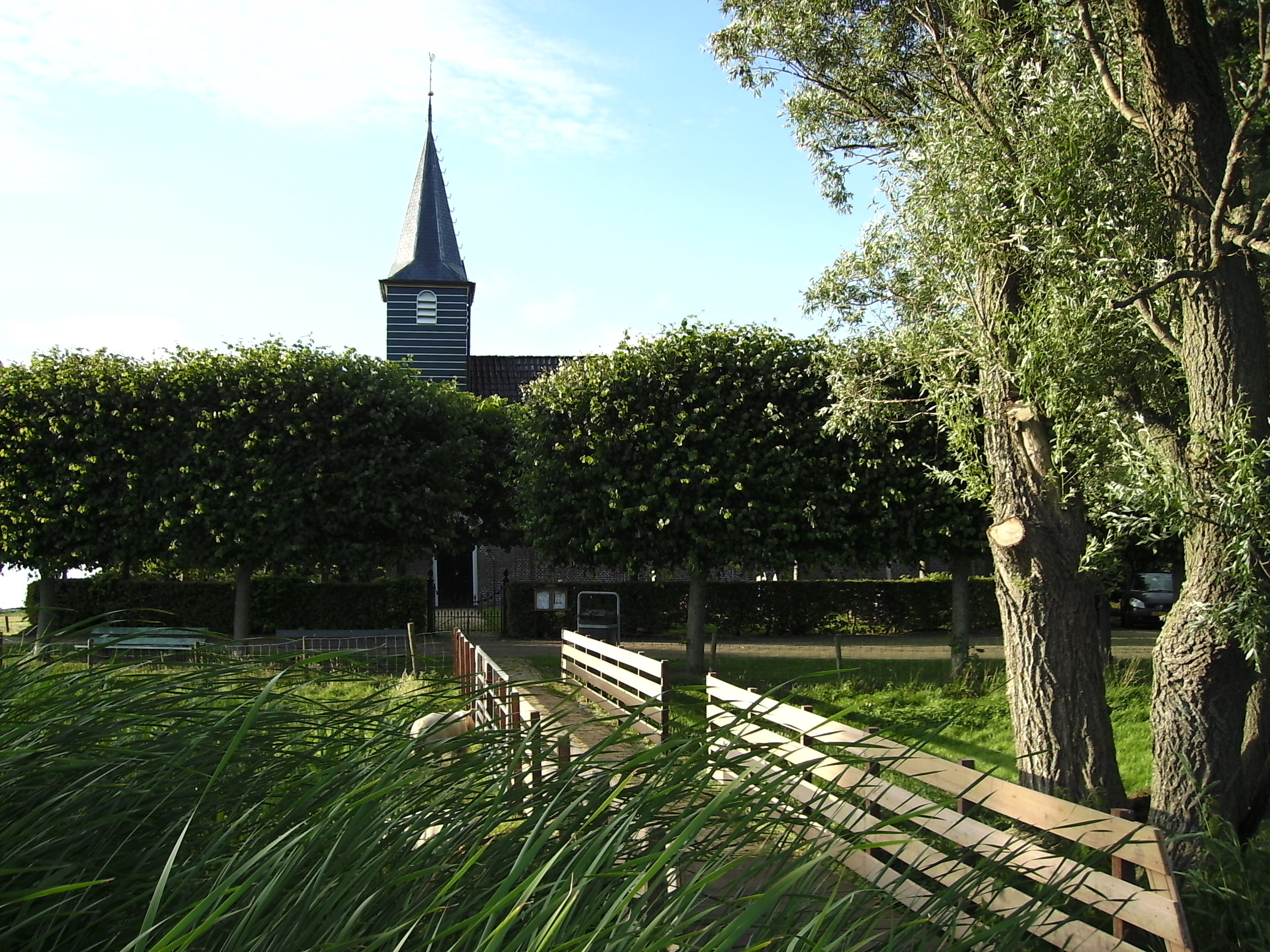 - image: 15