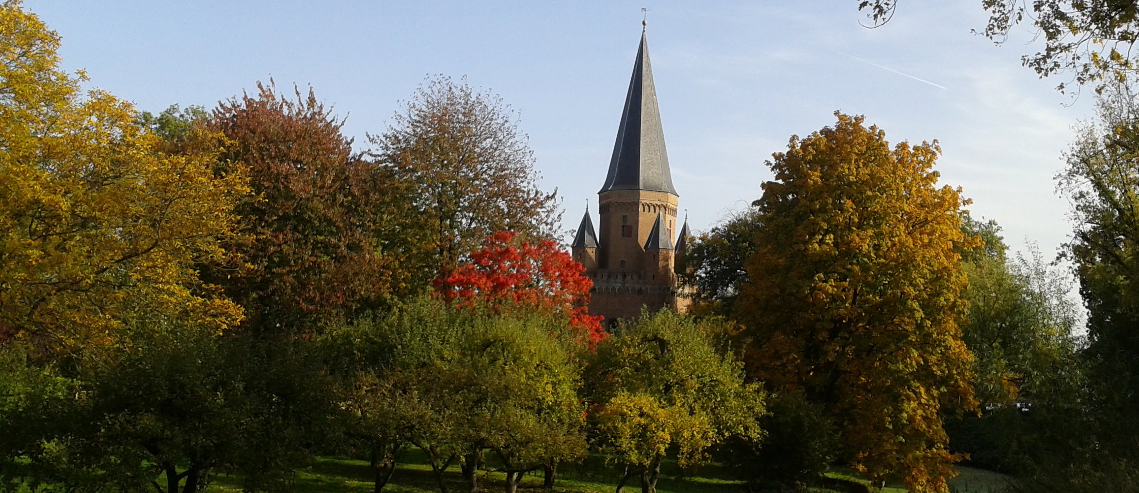 - image: 43