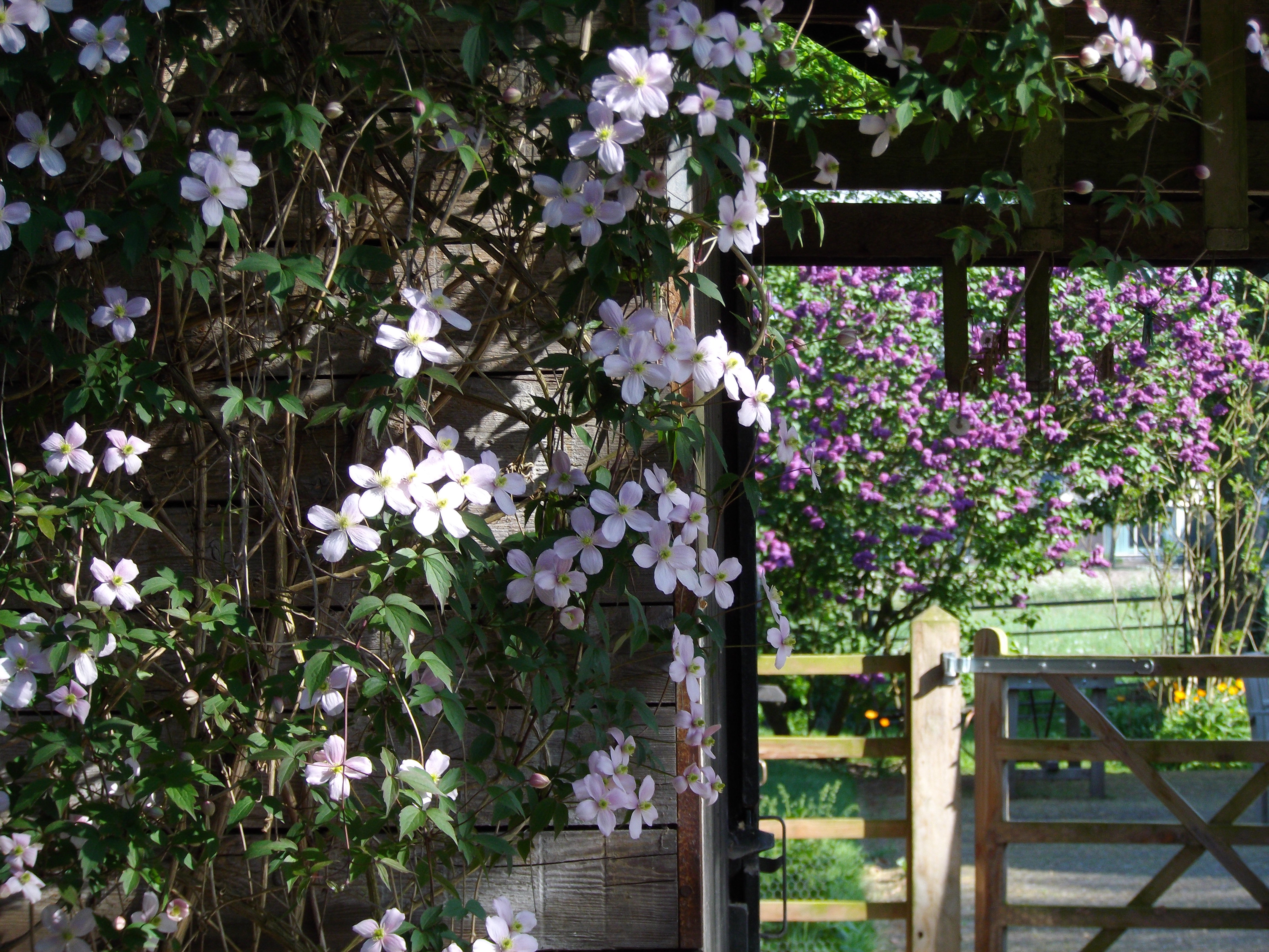 Maison nature à Tonden
