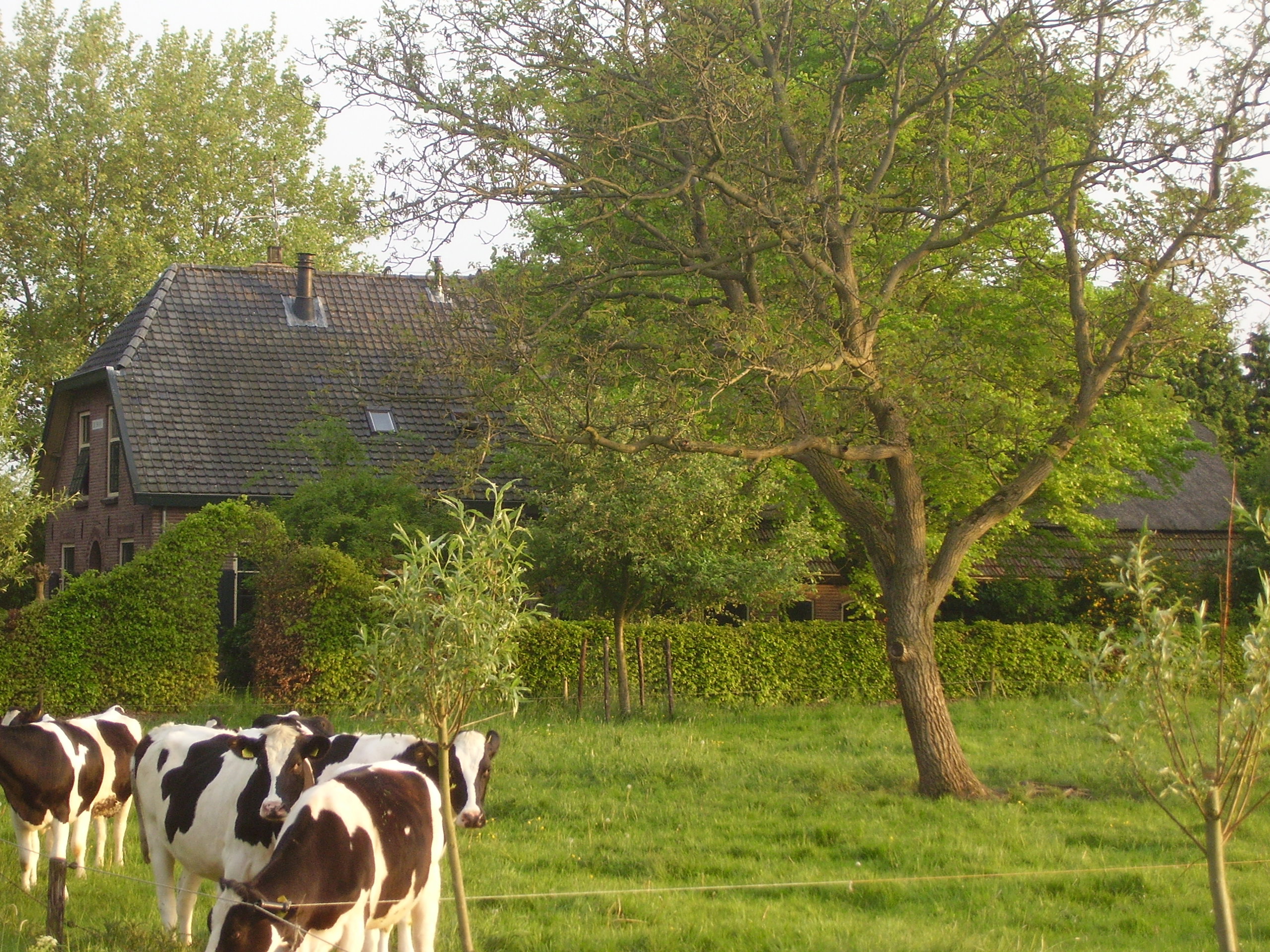 Maison nature à Tonden