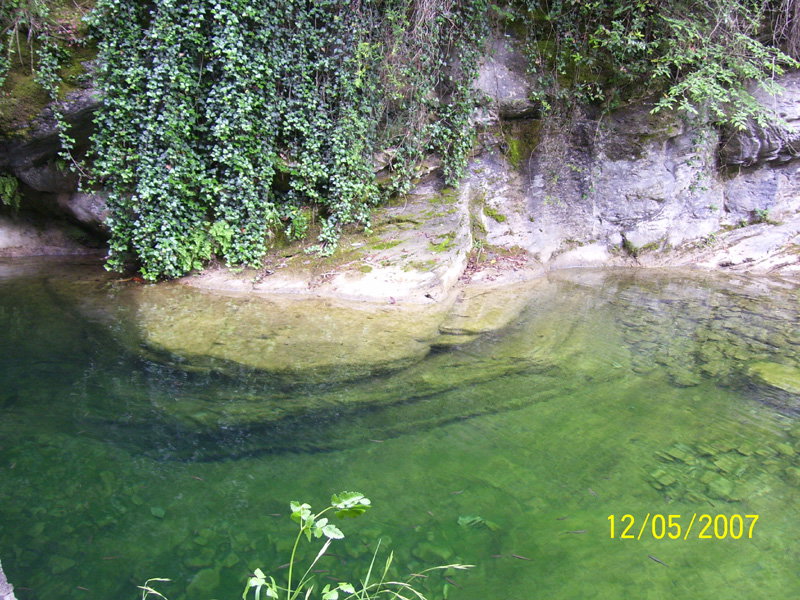 - image: 23