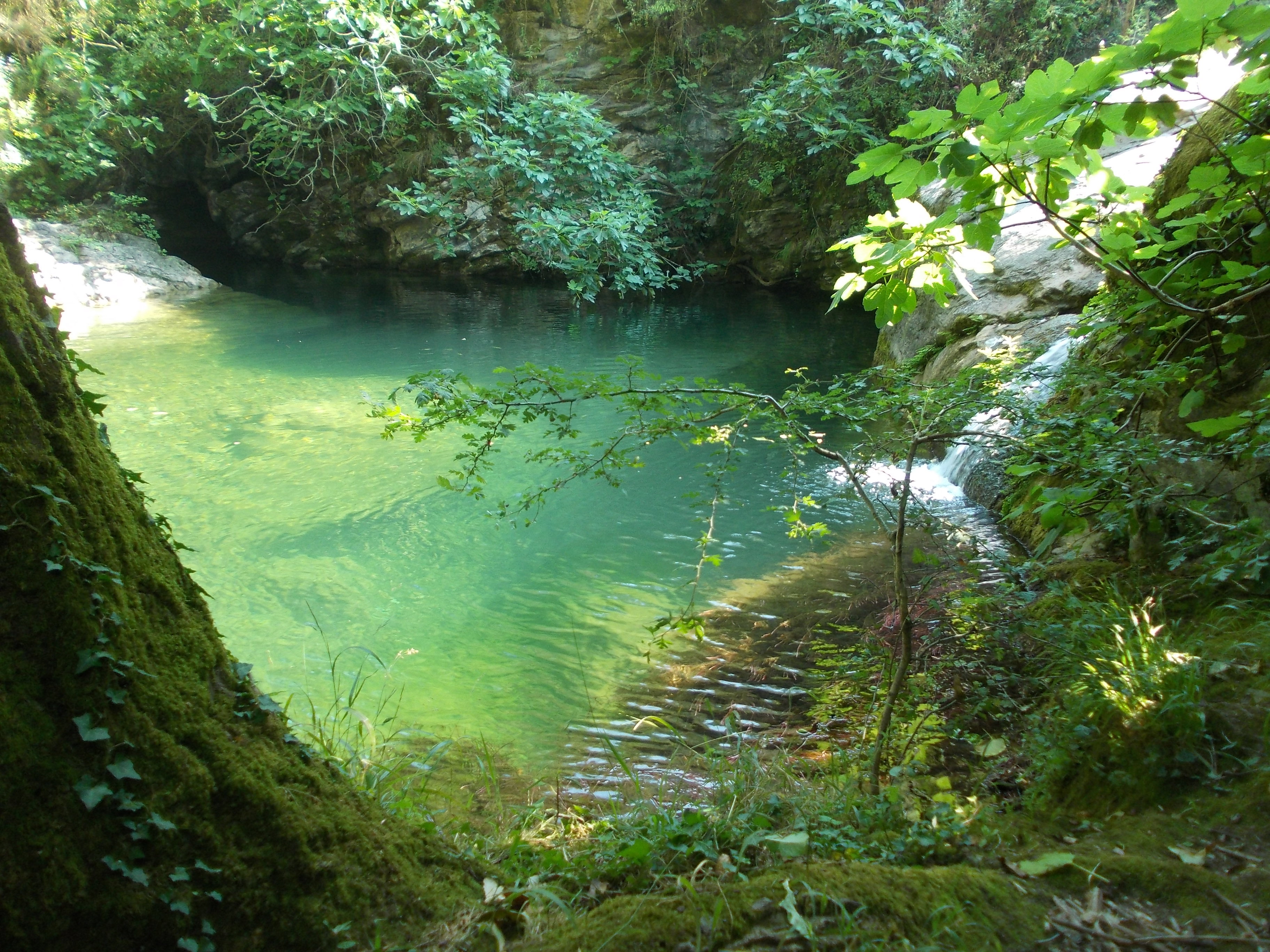 - image: 21