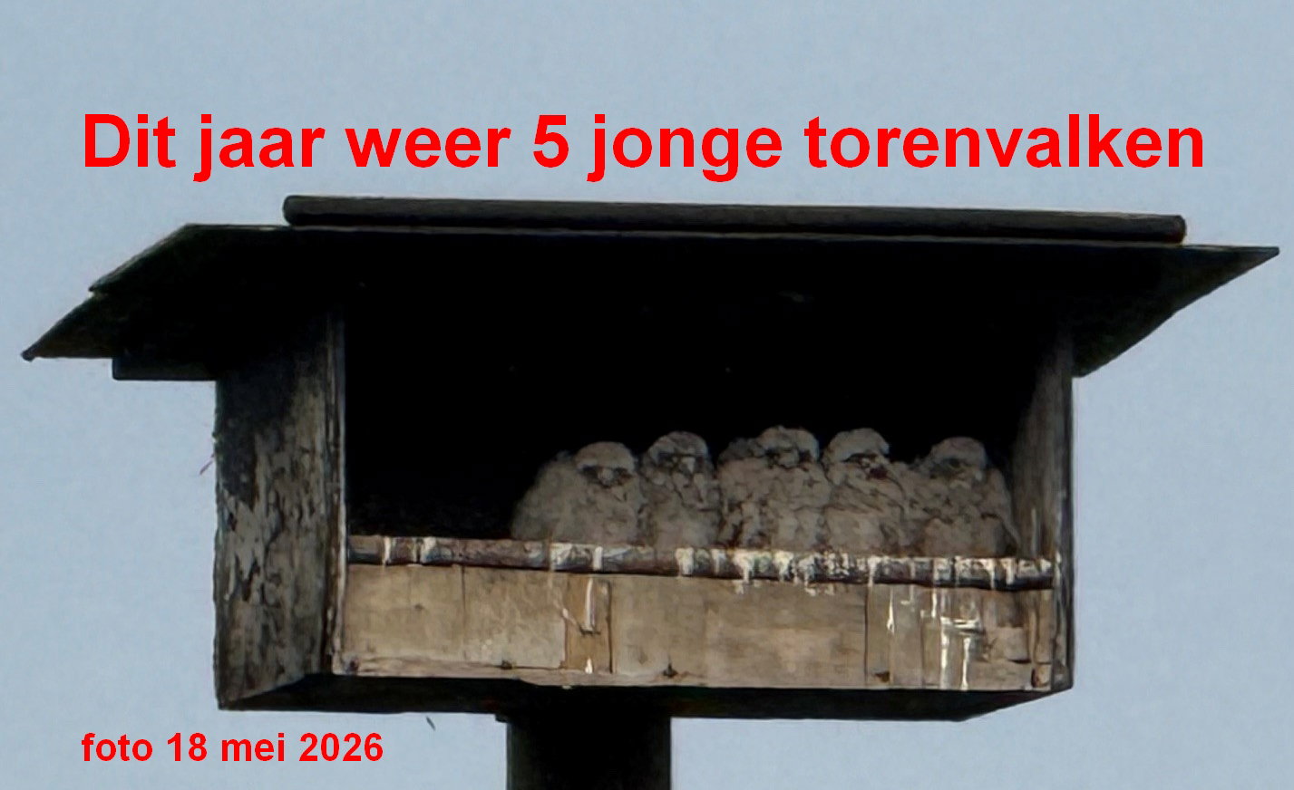 - image: 42