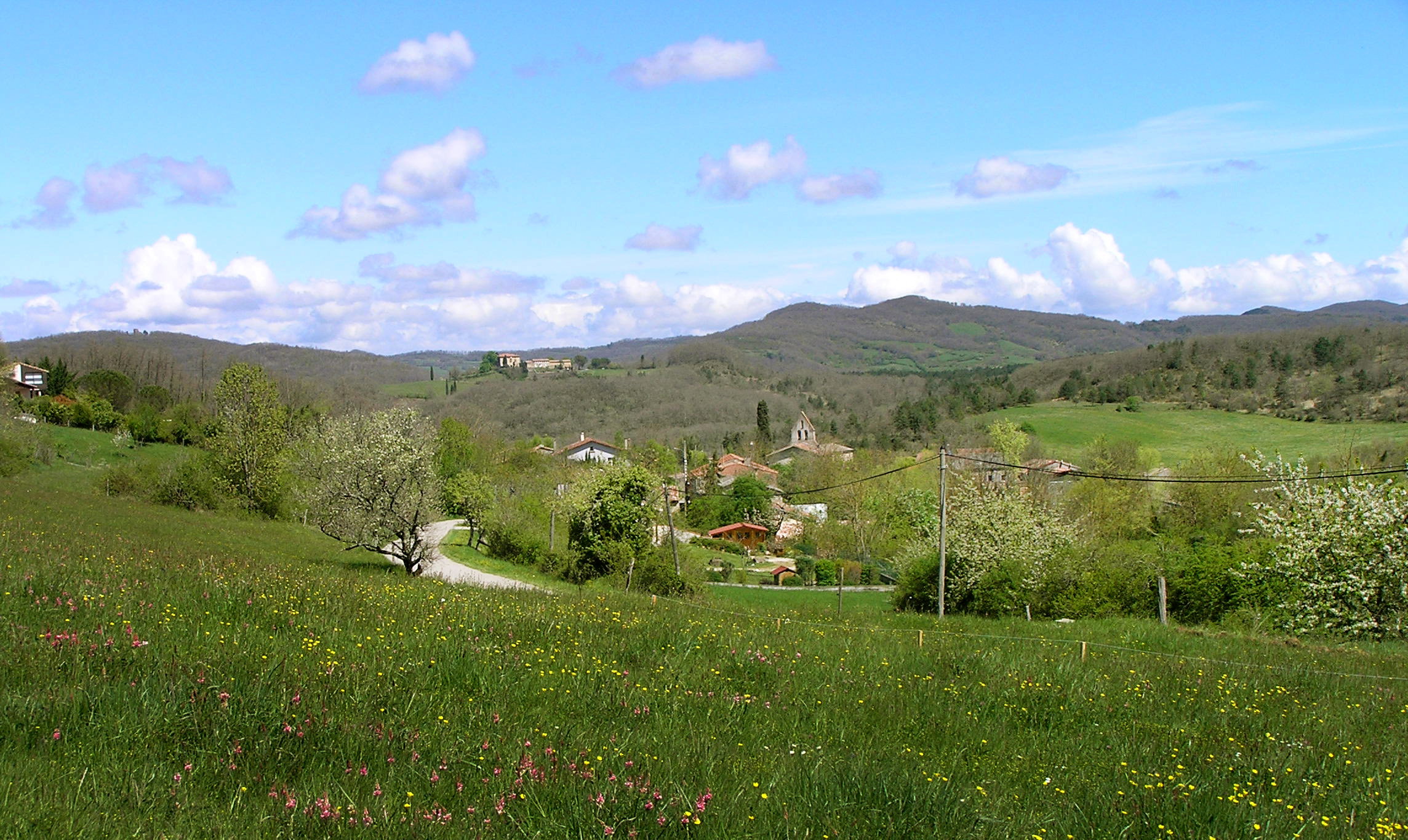 - image: 24