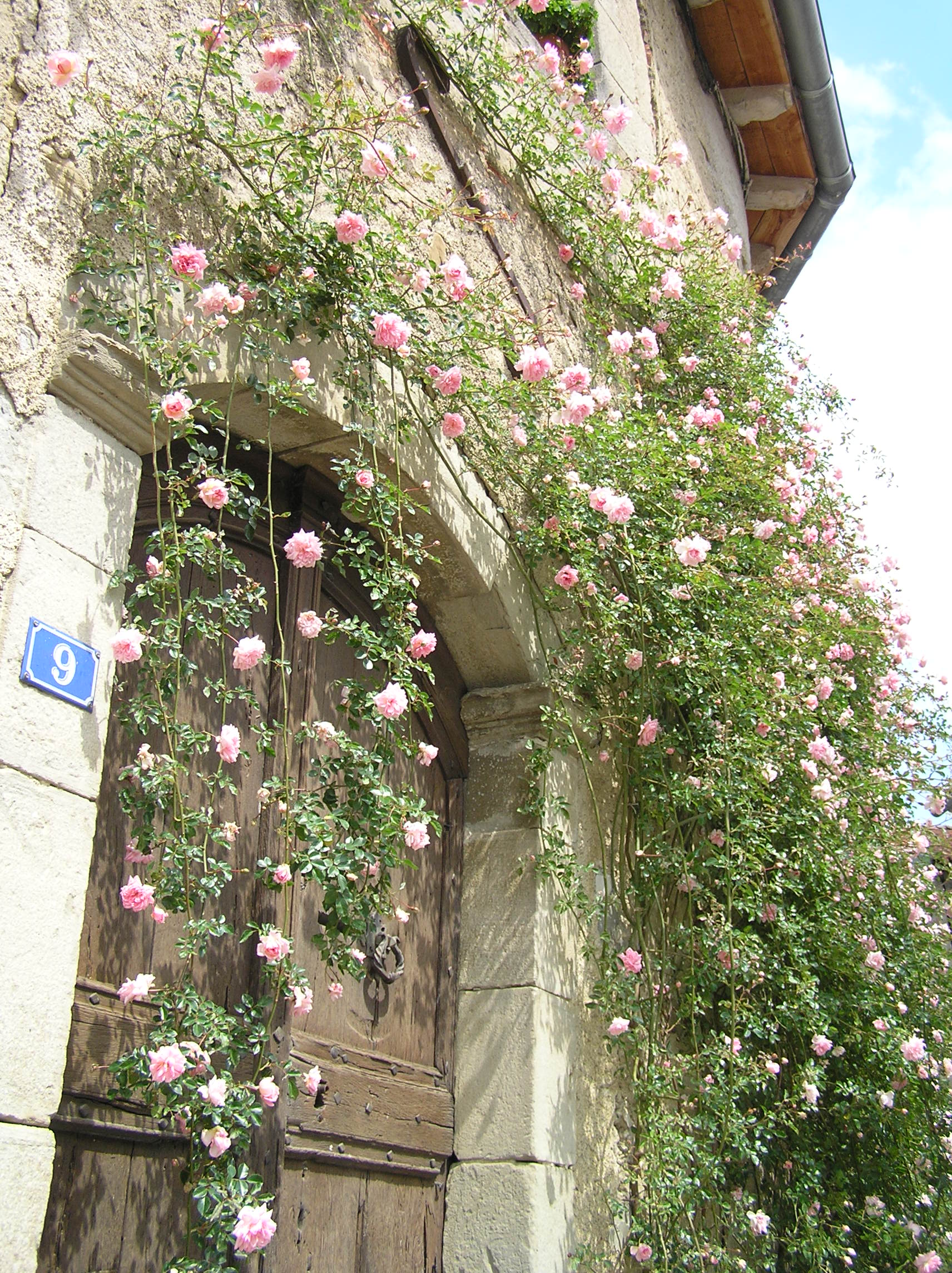 - image: 26
