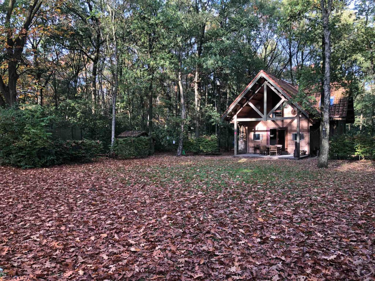 Nature house in Brasschaat