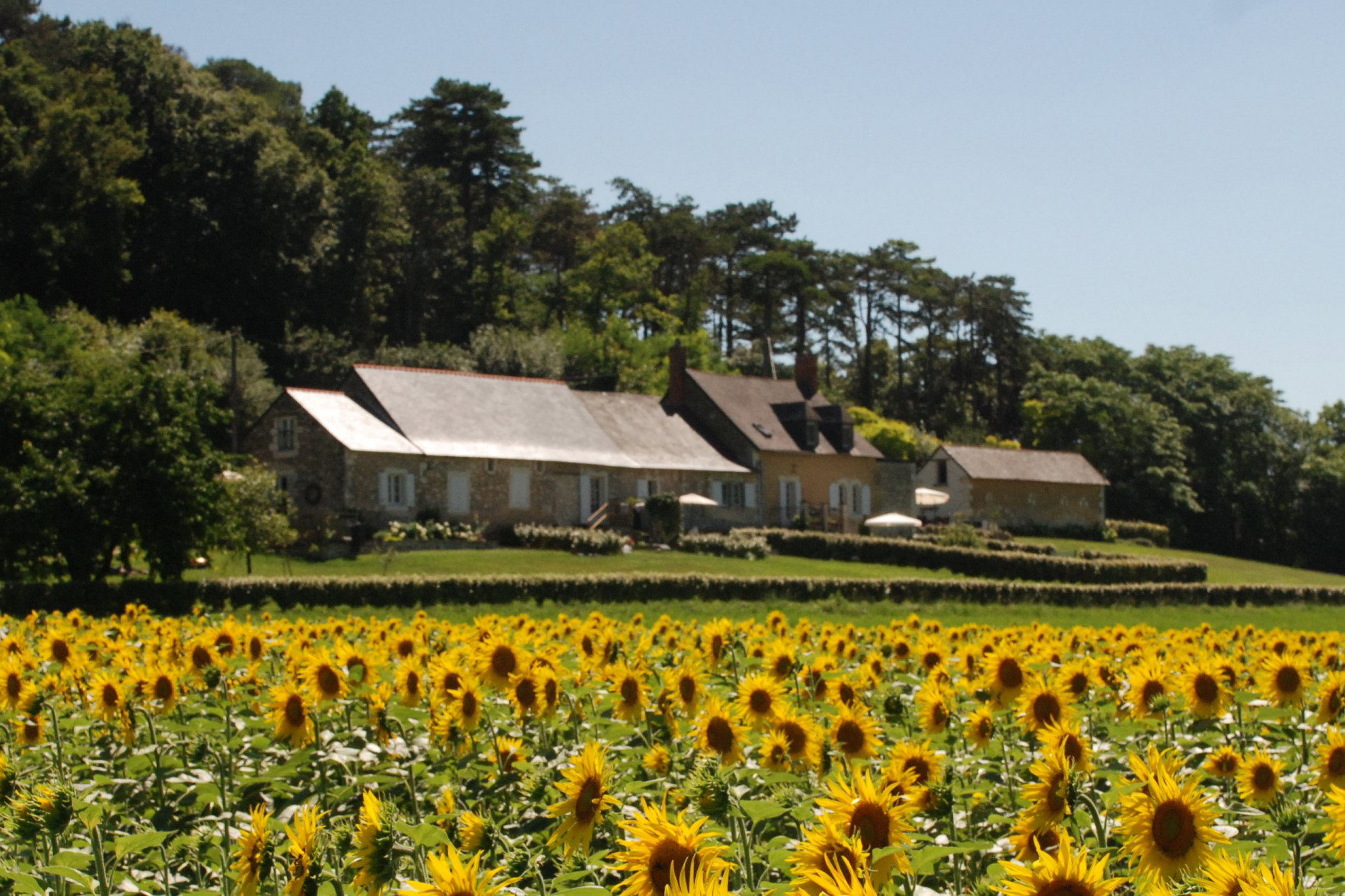 Nature house in Fontaine Guerin, Les Bois d'Anjou