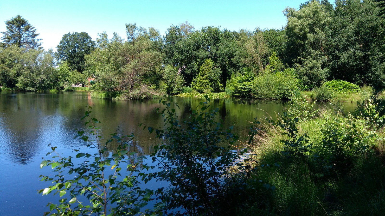 - image: 4