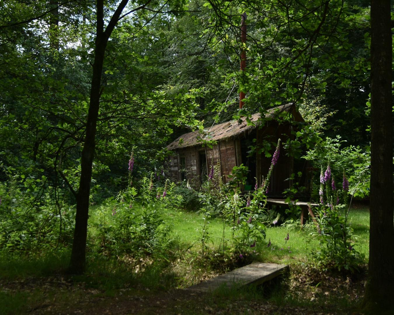 Casa nella natura a Papenvoort