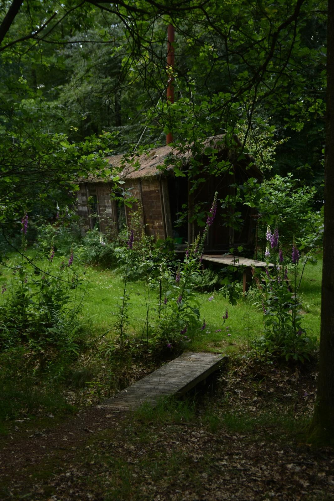 Casa nella natura a Papenvoort