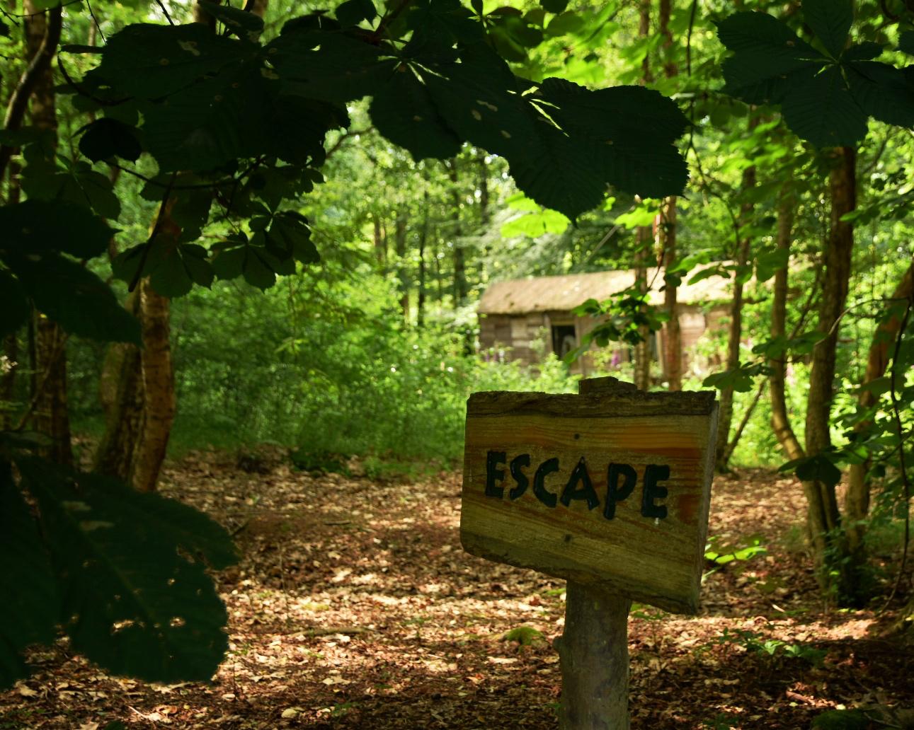 Casa nella natura a Papenvoort