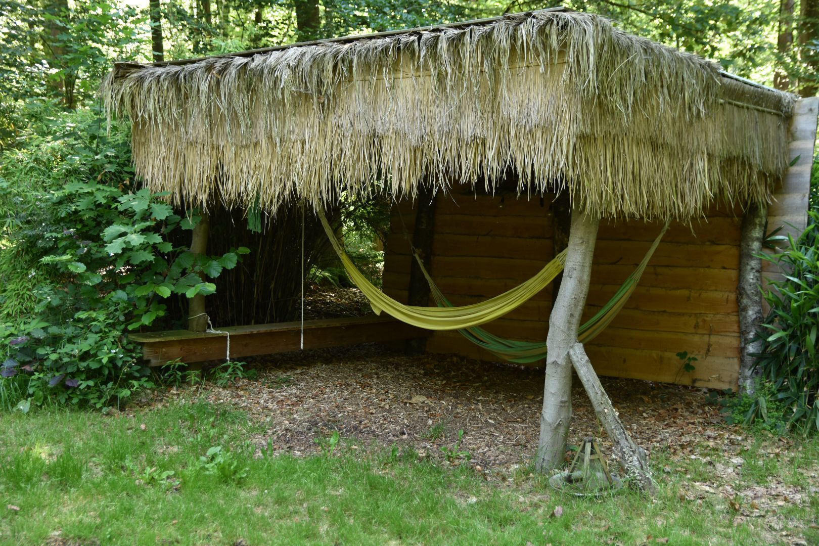 Casa nella natura a Papenvoort