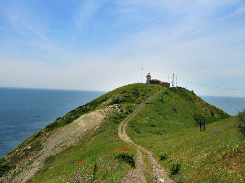 - image: 22