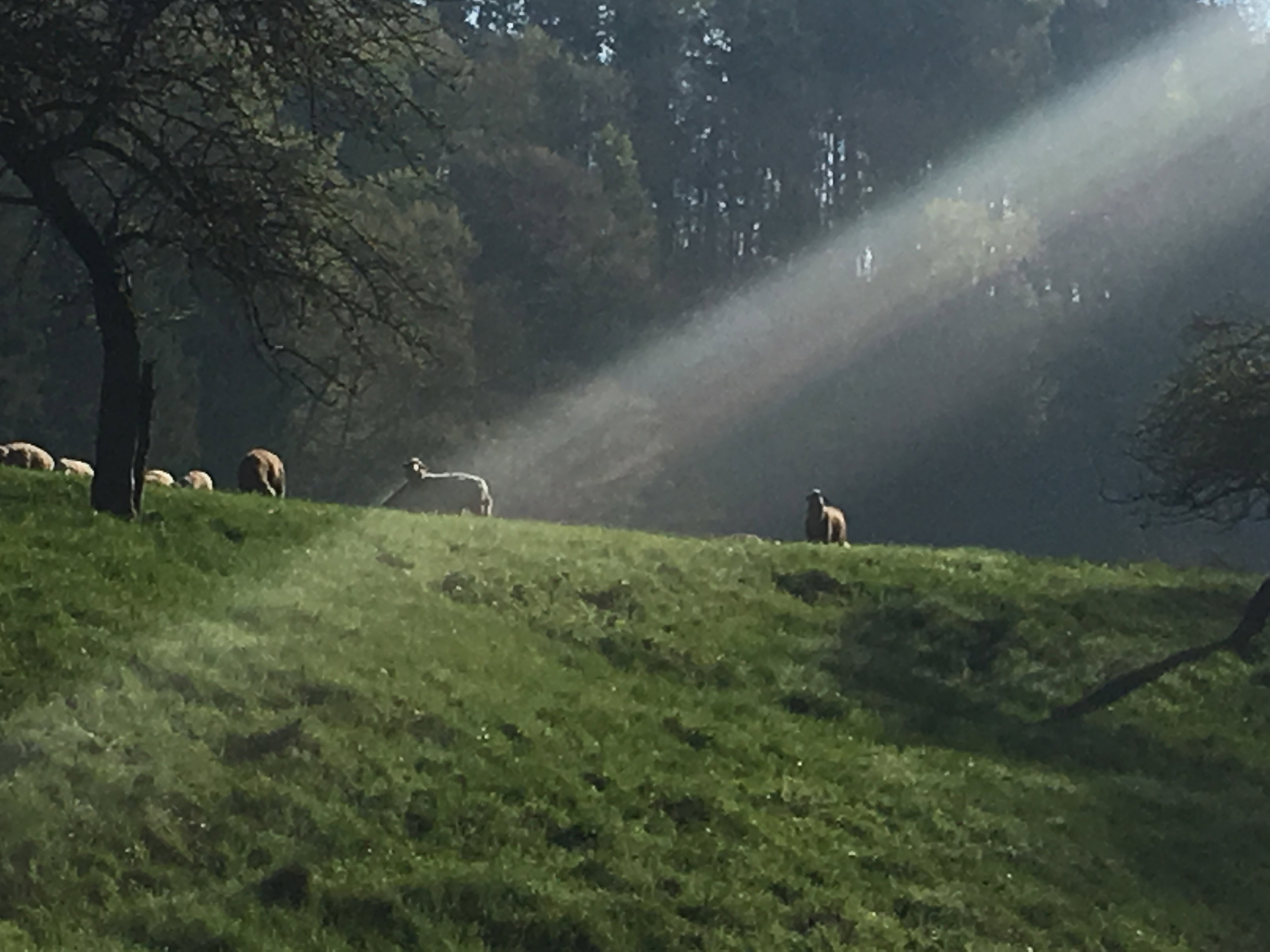 Natuurhuisje in Ravensburg