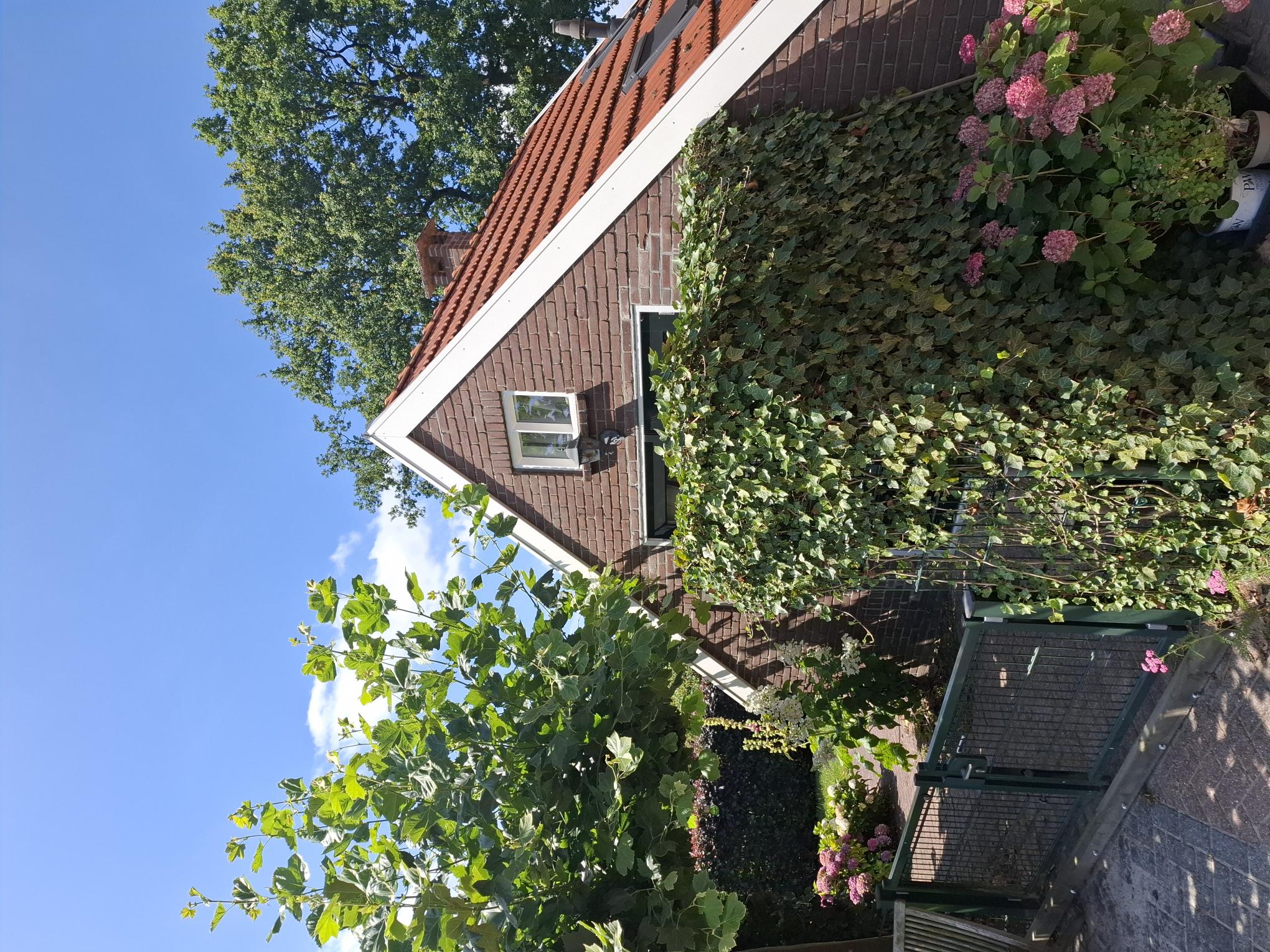 Naturhäuschen in Smilde