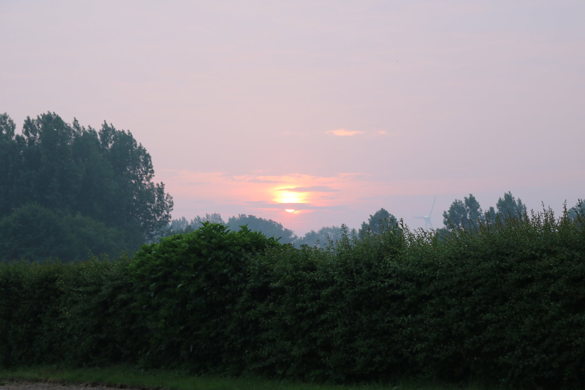 - image: 13