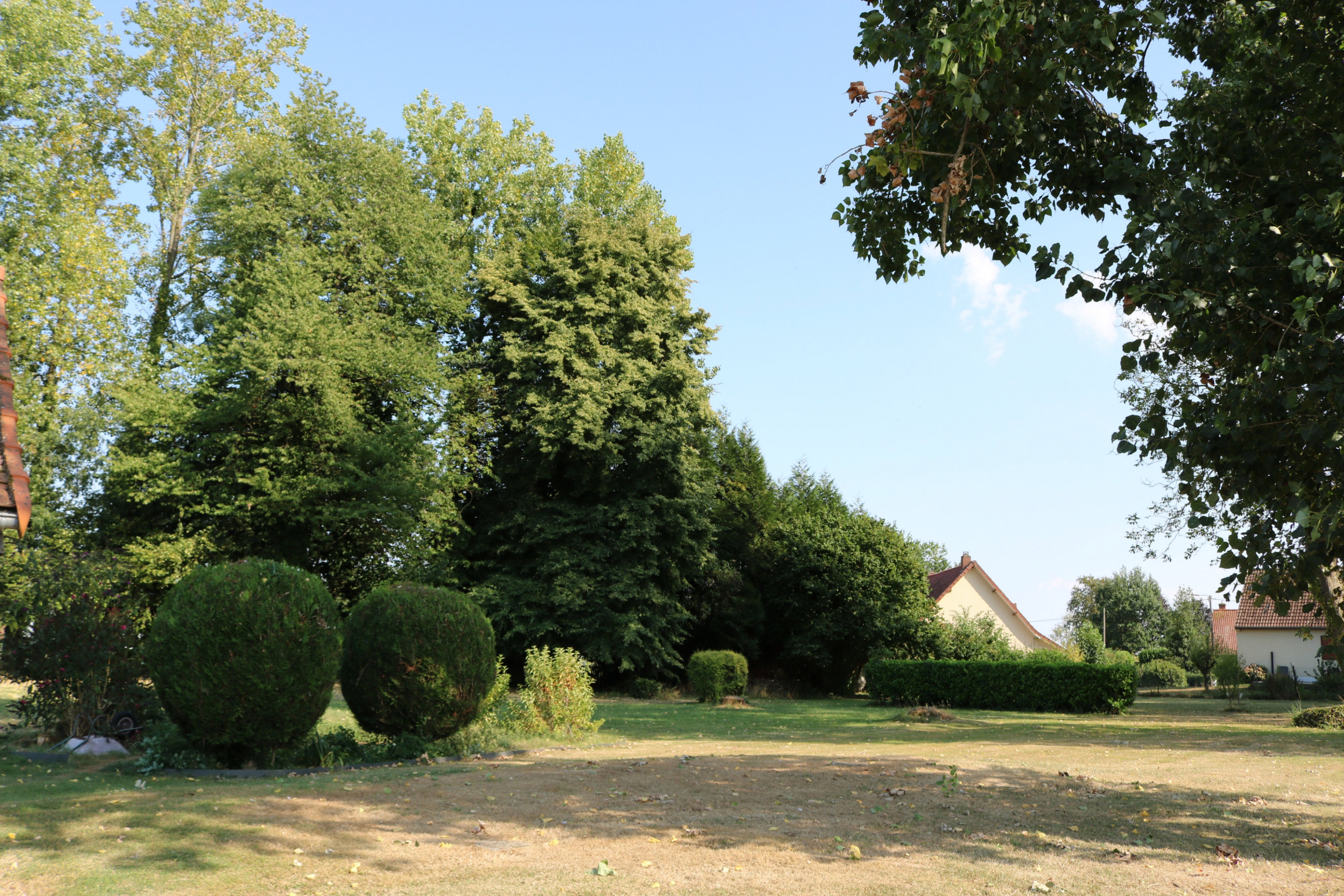 - image: 29
