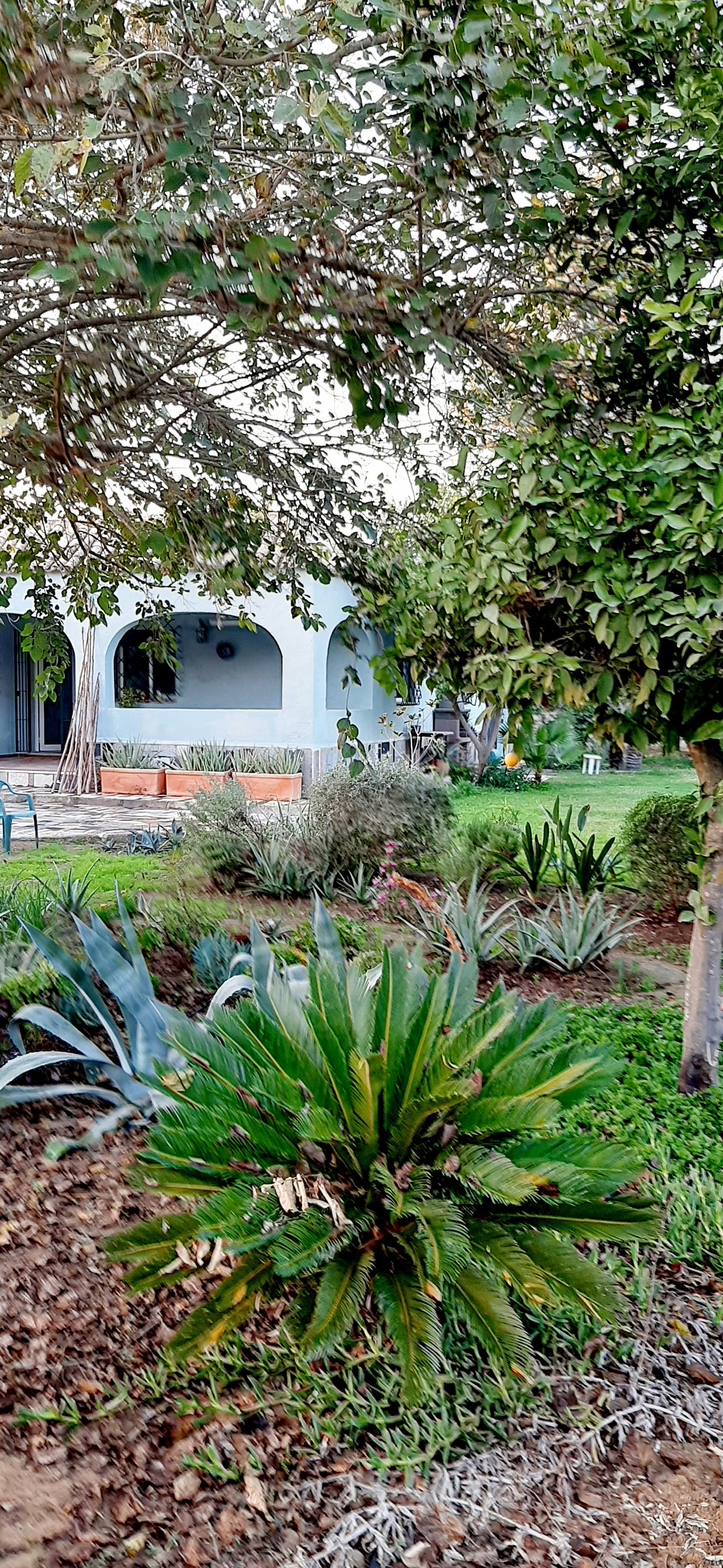 Casa nella natura a Arahal