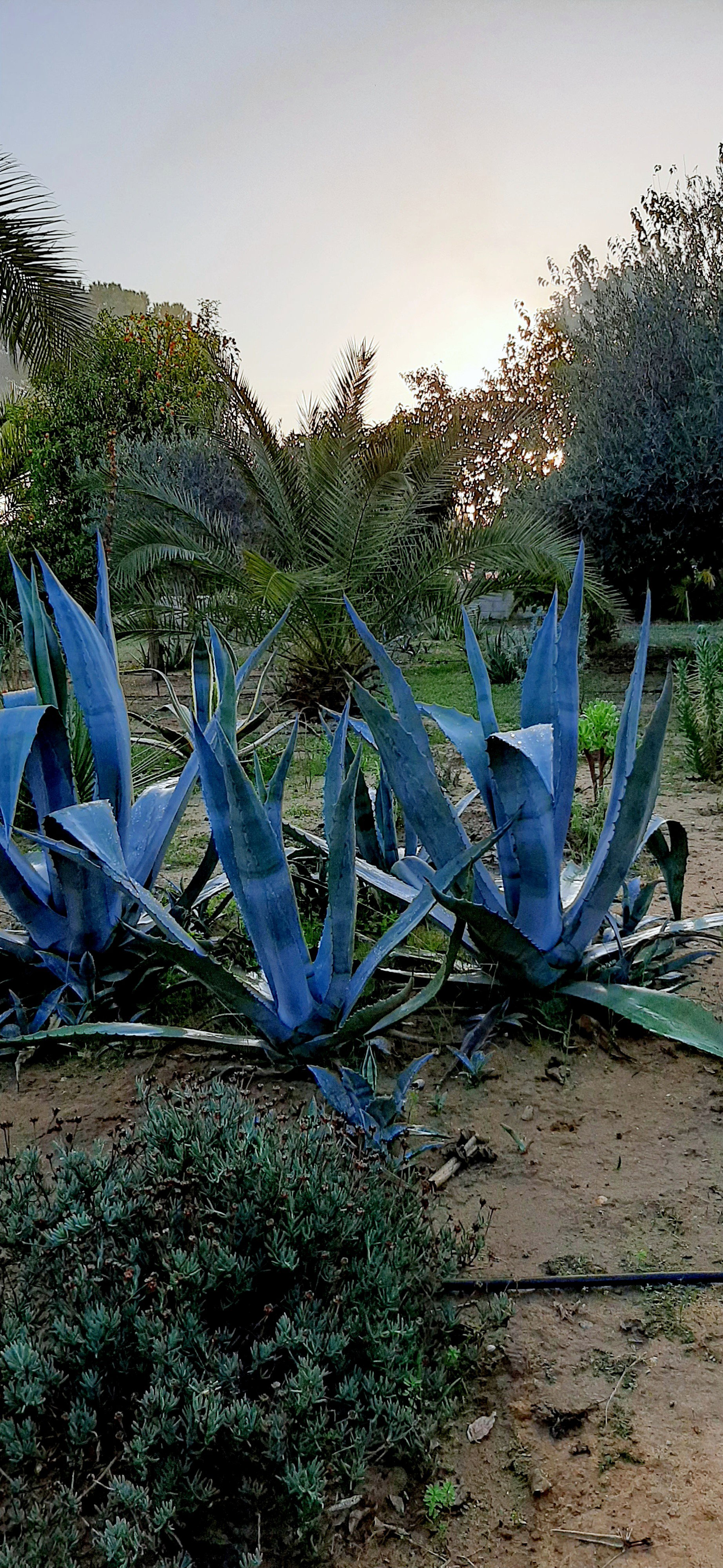 Casa nella natura a Arahal