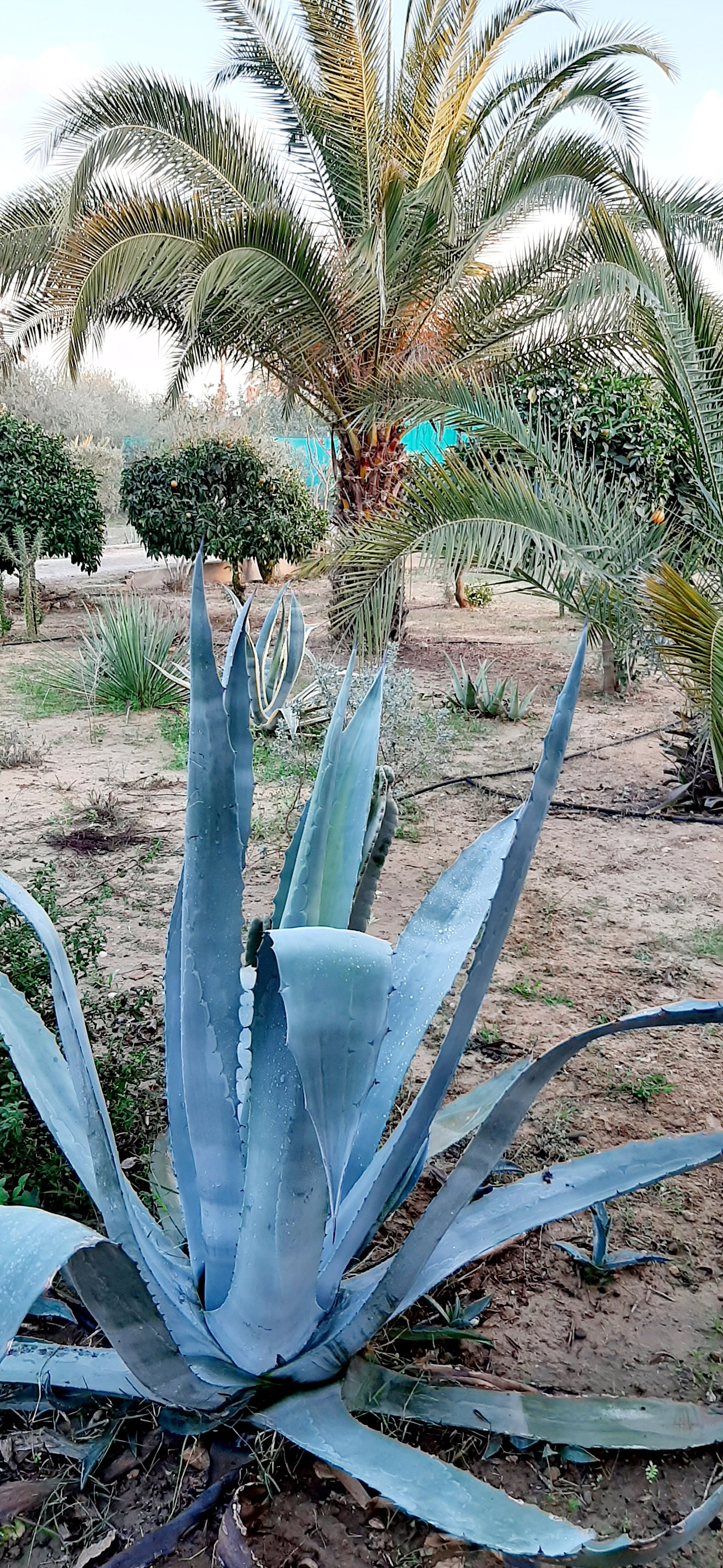 Casa nella natura a Arahal