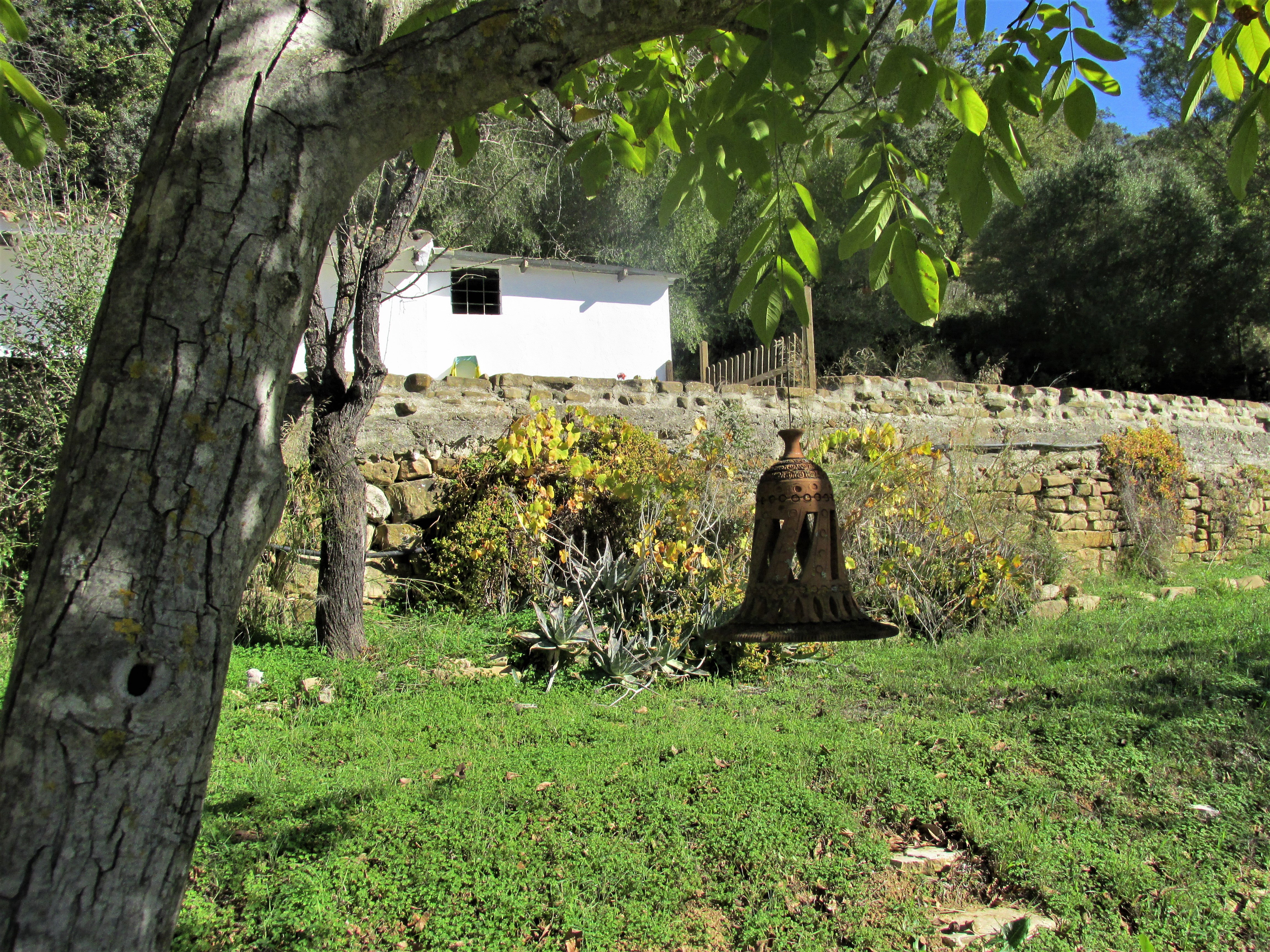 - image: 24