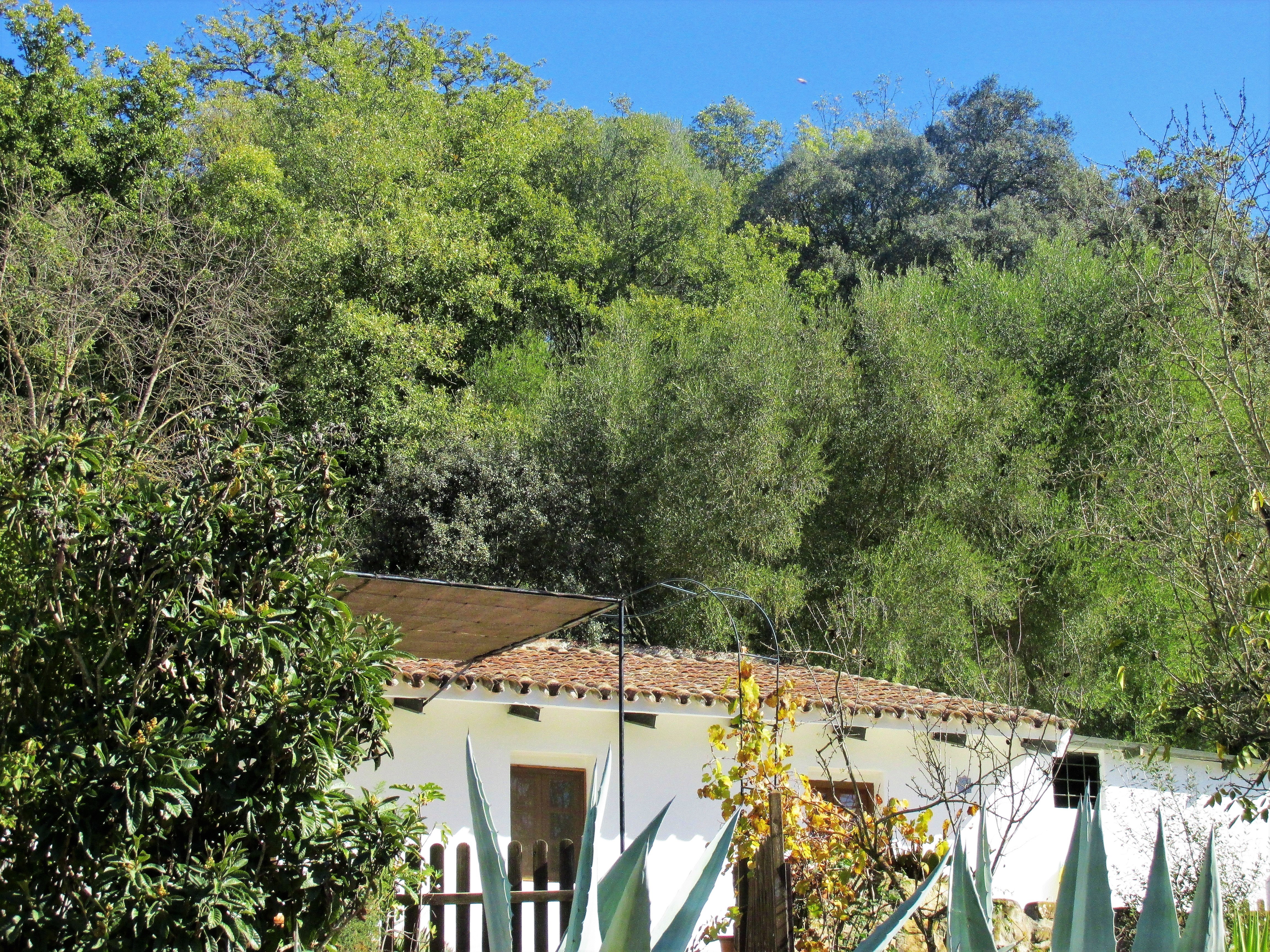Maison nature à La Canada del Real Tesoro