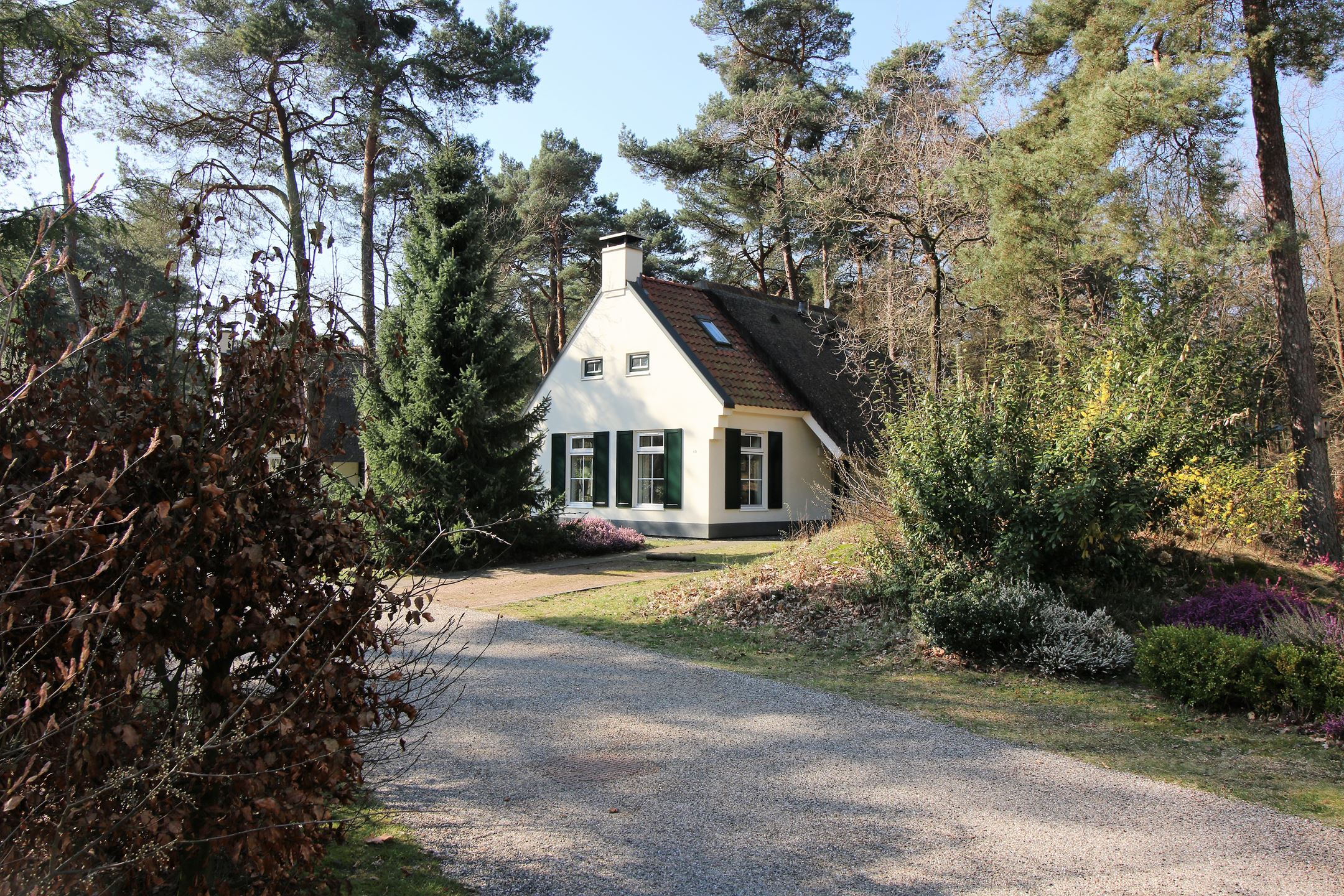 - image: 1