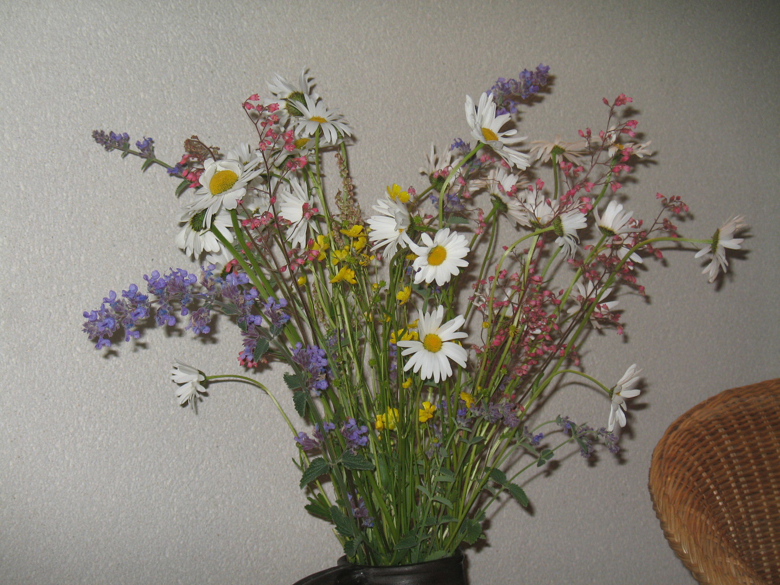 - image: 11