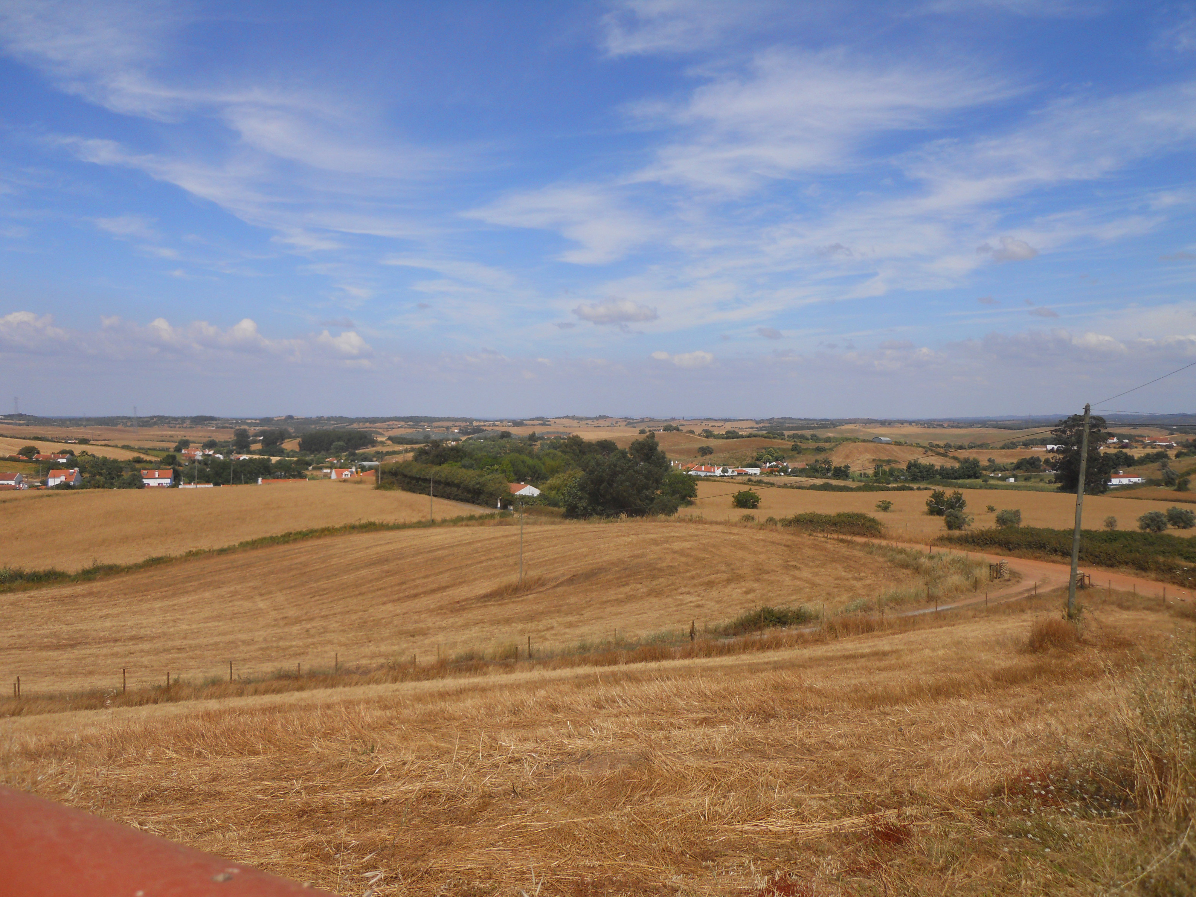 - image: 16