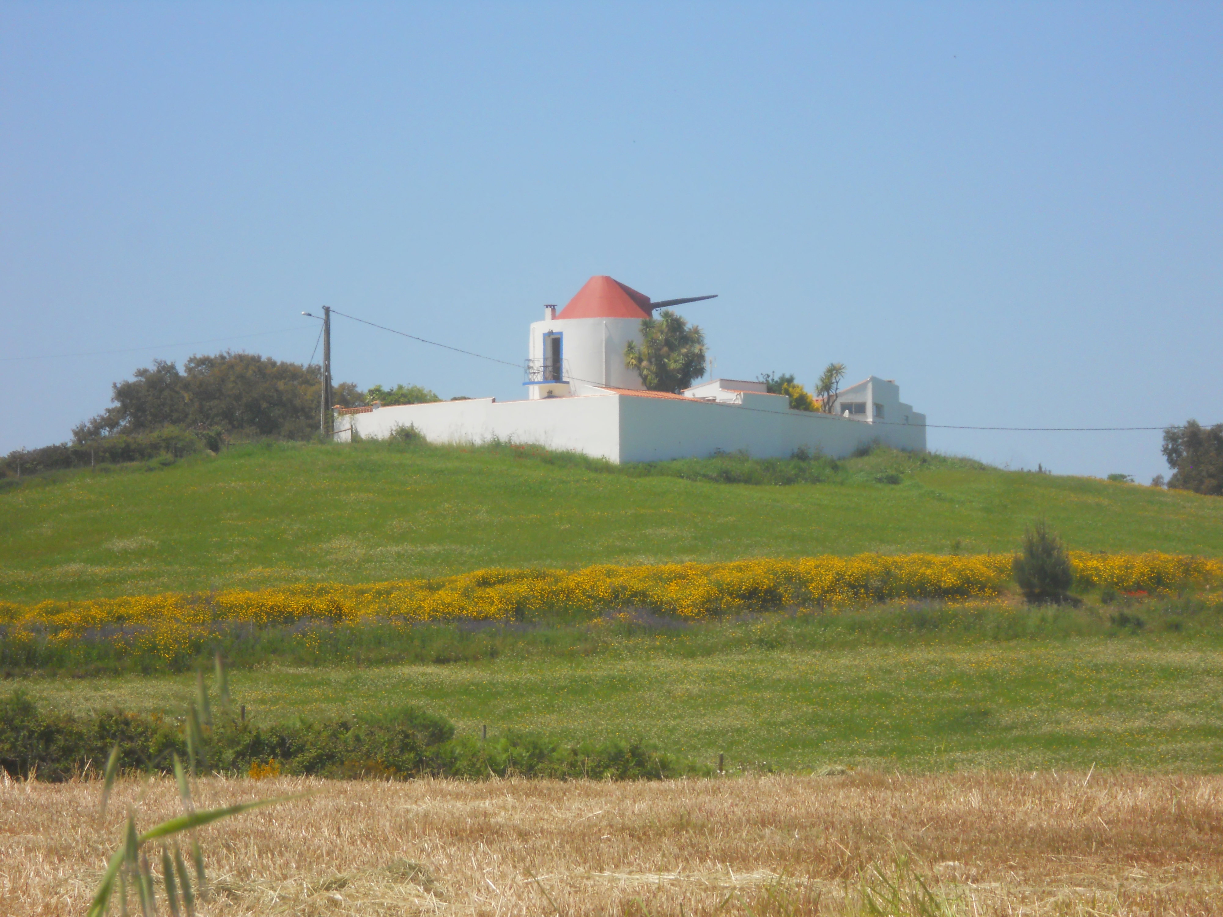 - image: 15