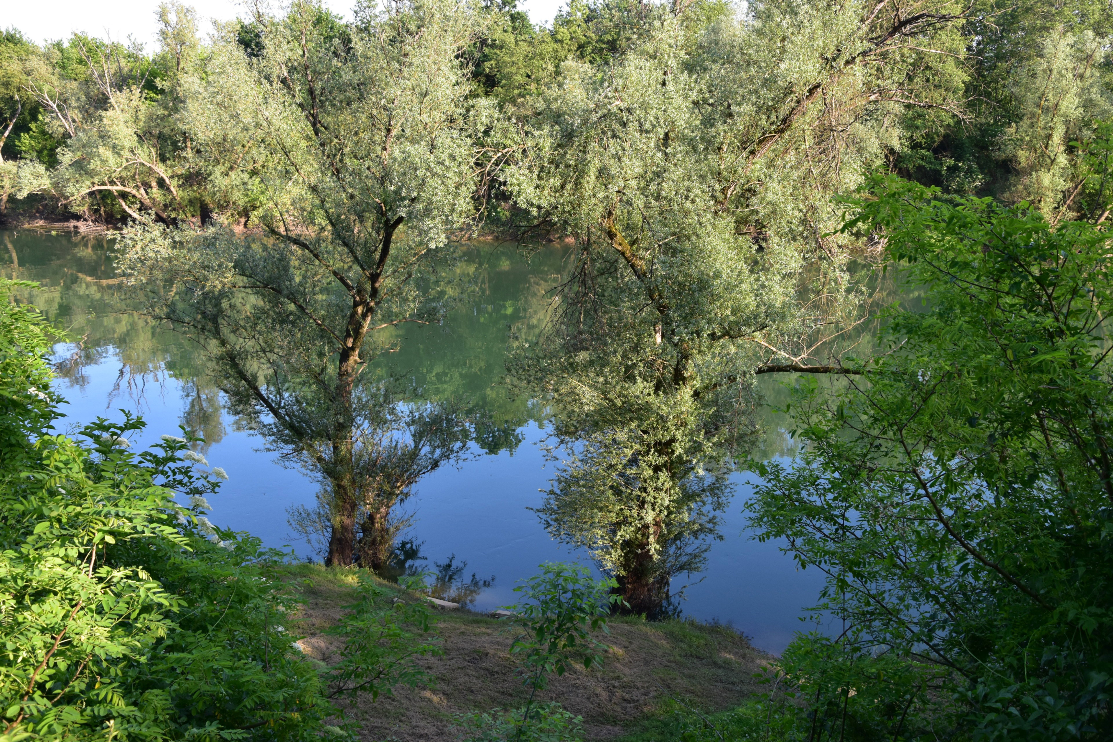 - image: 13