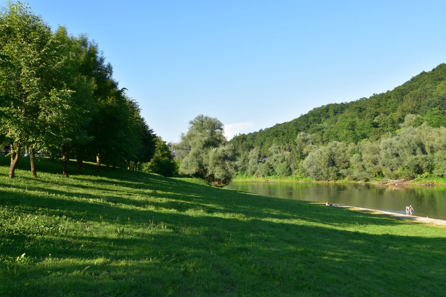 - image: 15