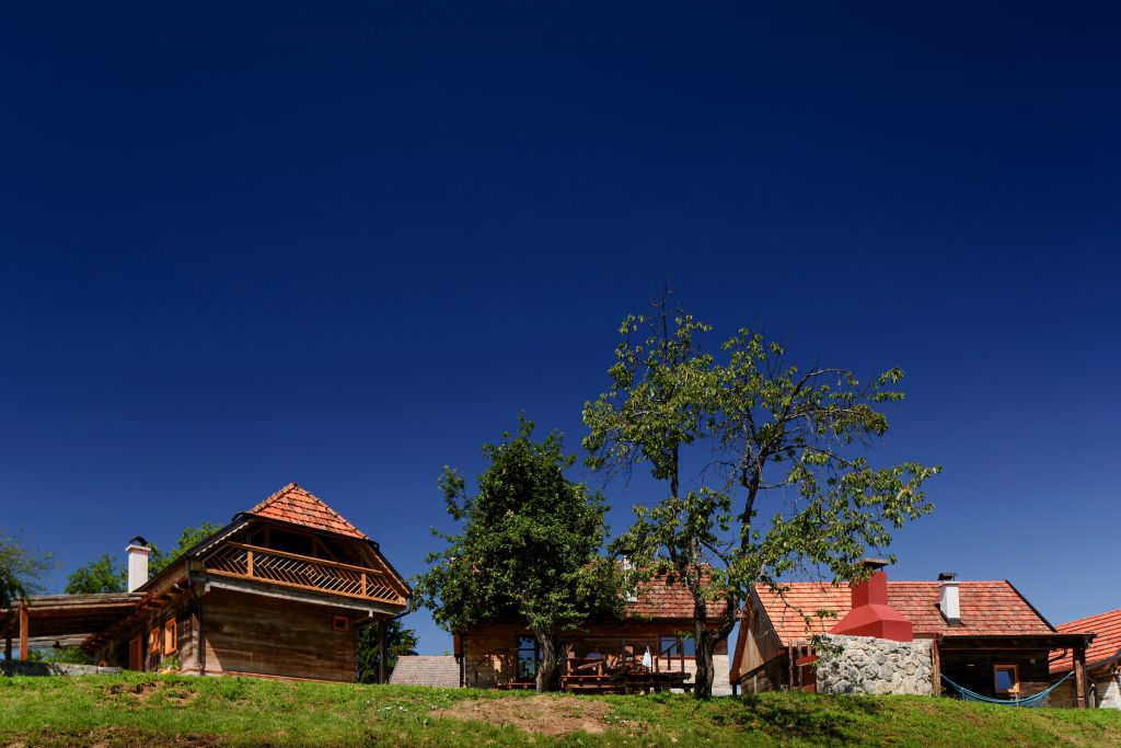 - image: 21