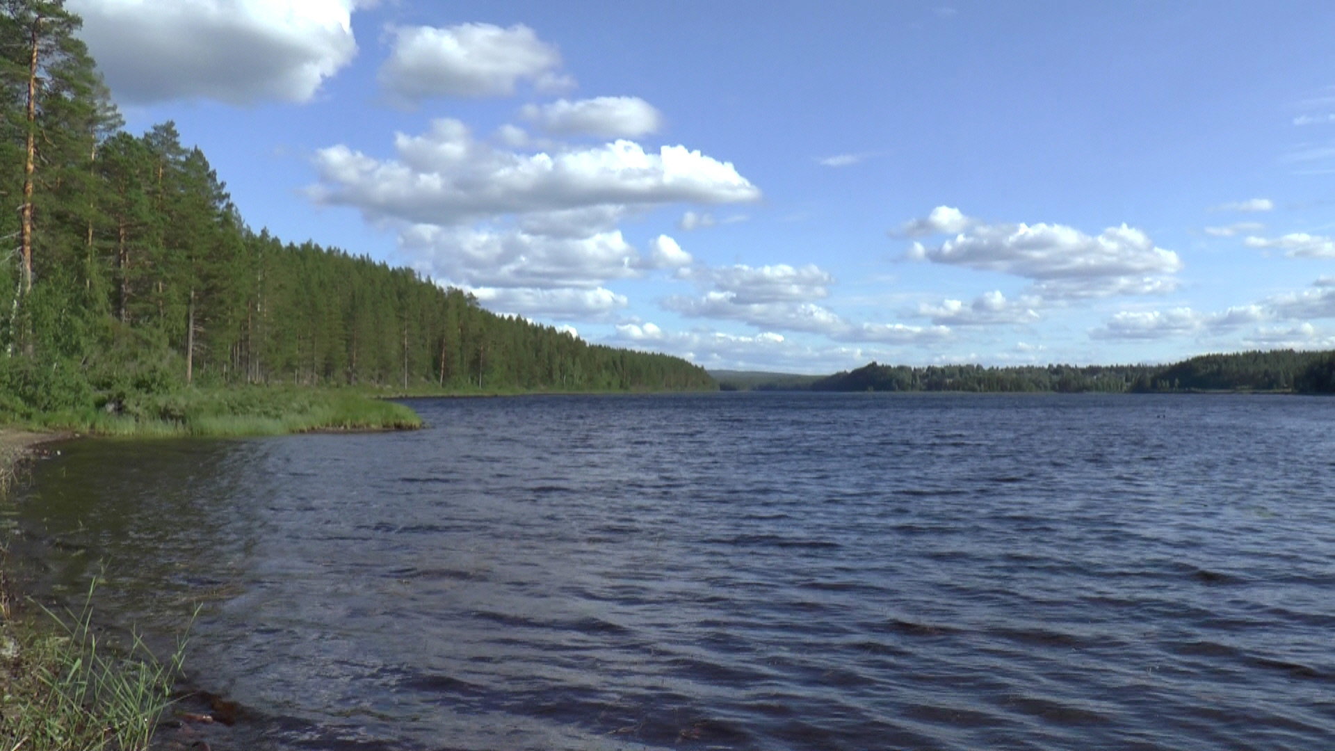 - image: 15