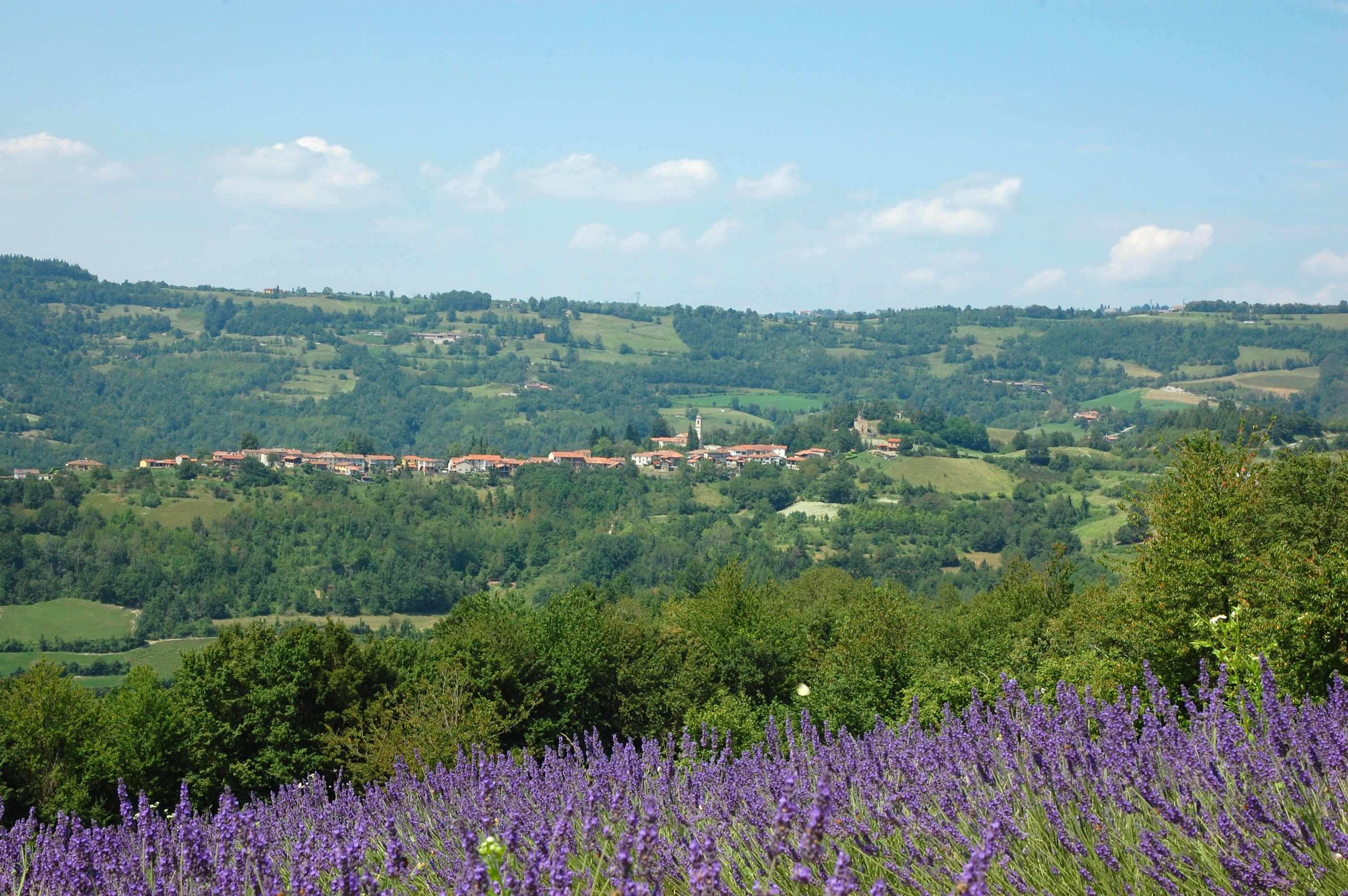 - image: 45