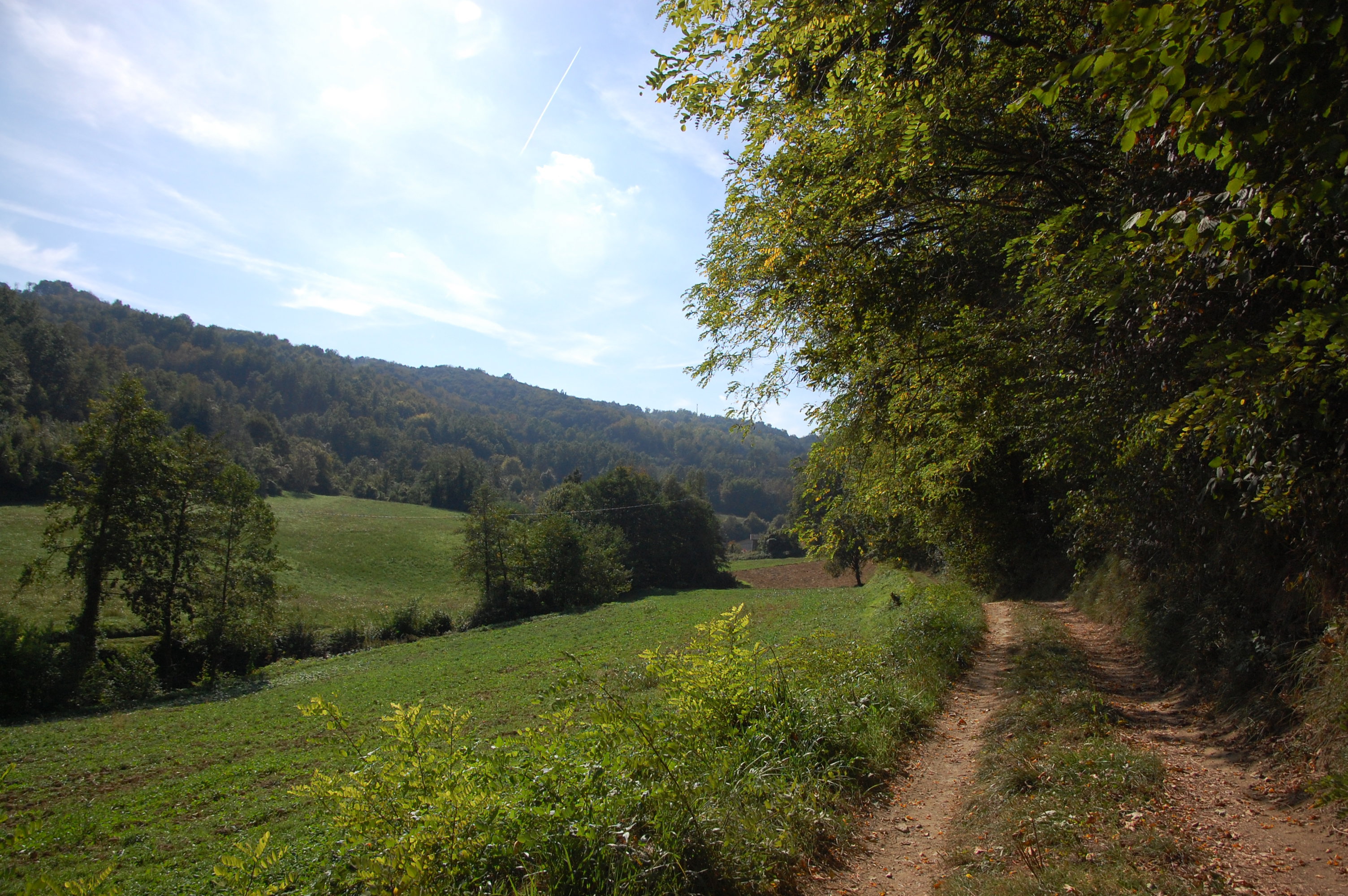 - image: 21