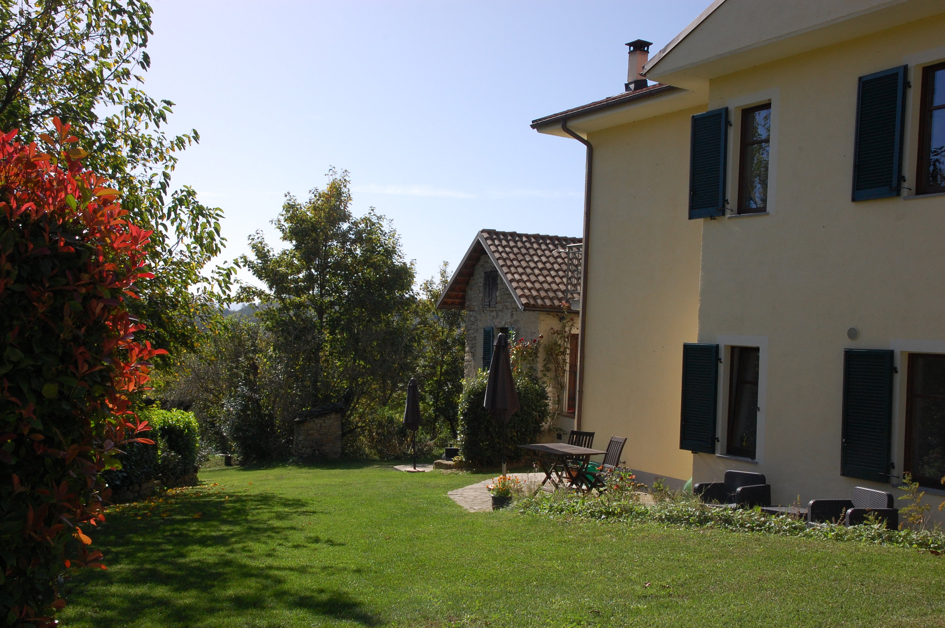 - image: 12