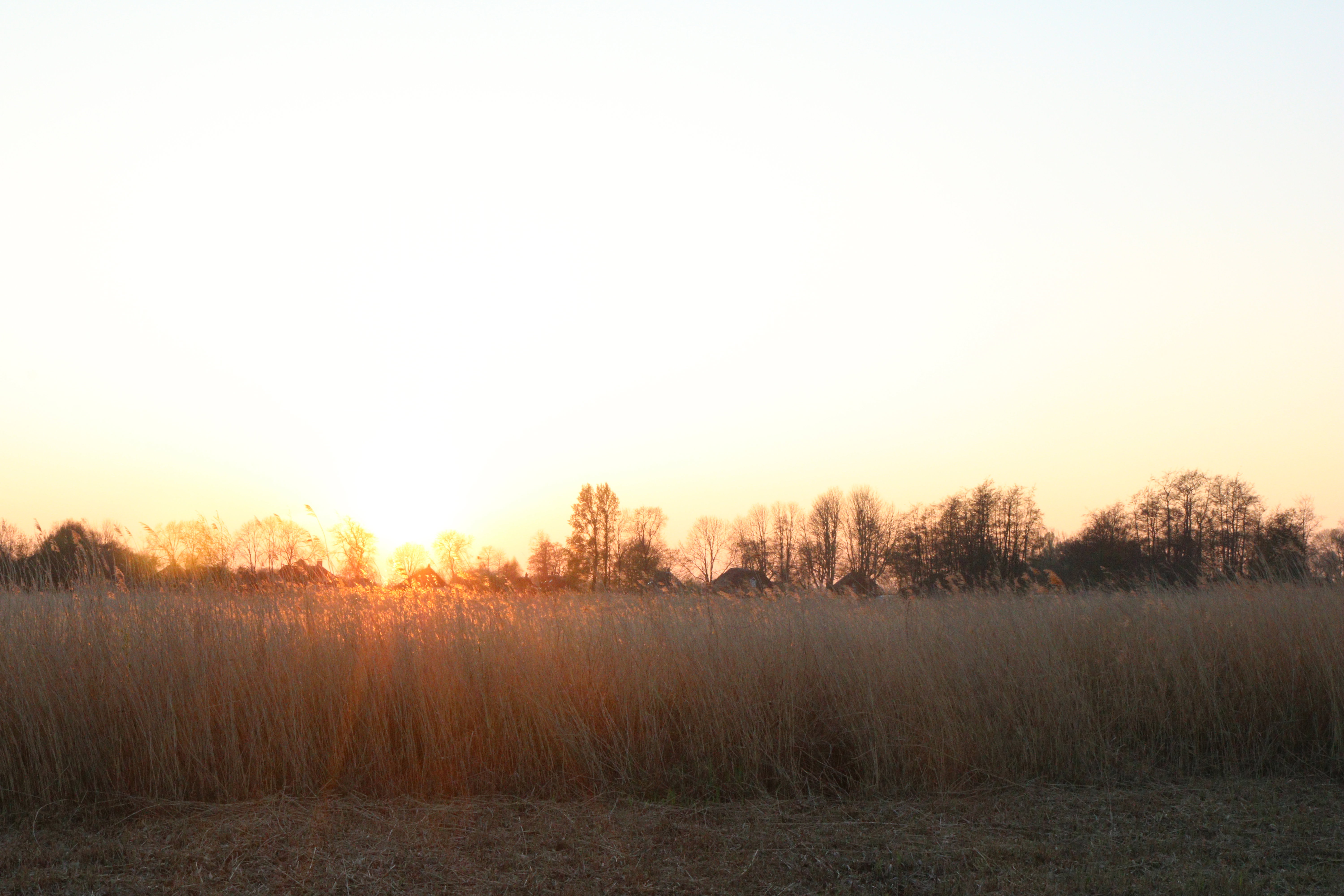 - image: 15
