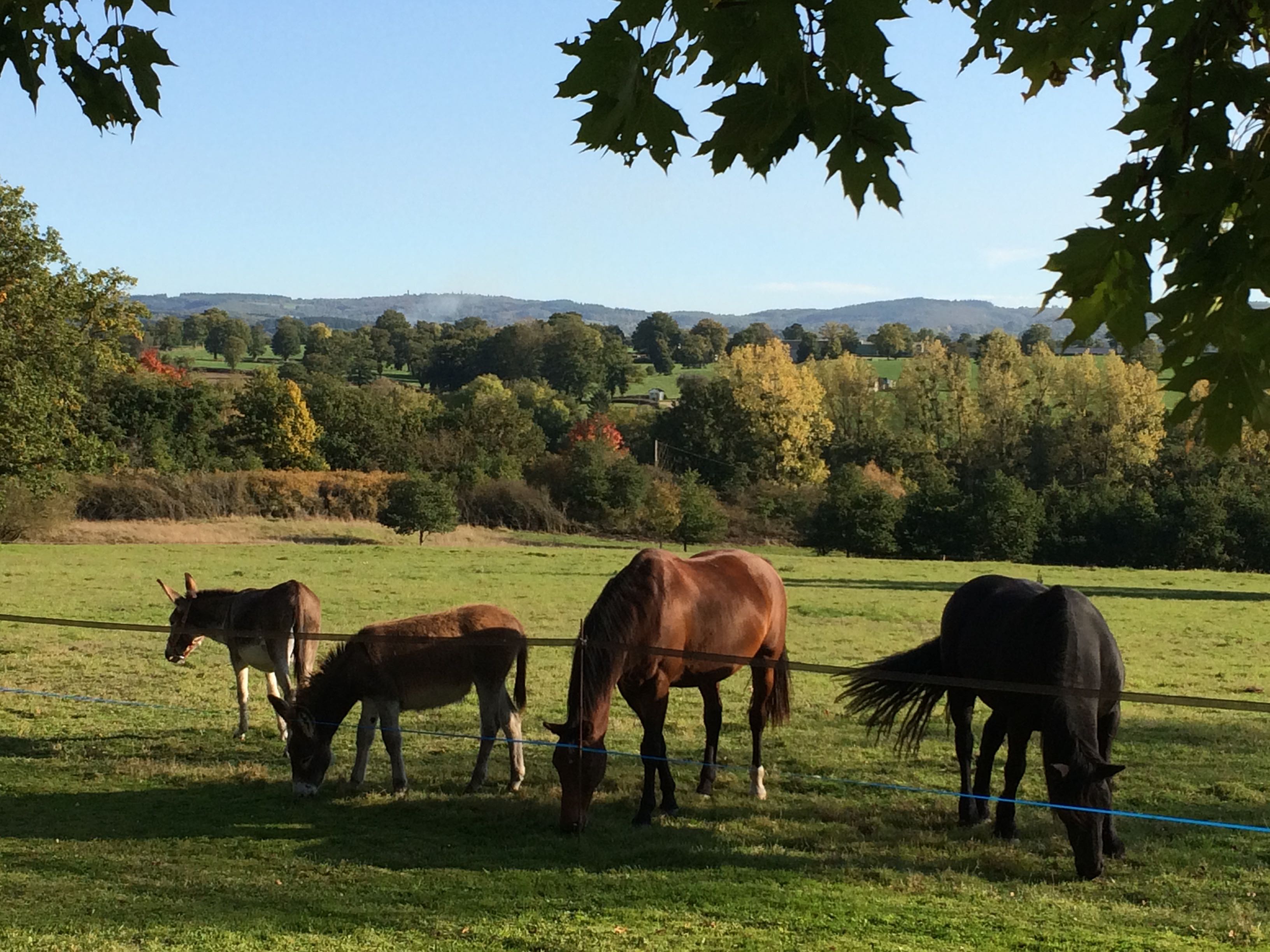 Maison nature à malleret boussac