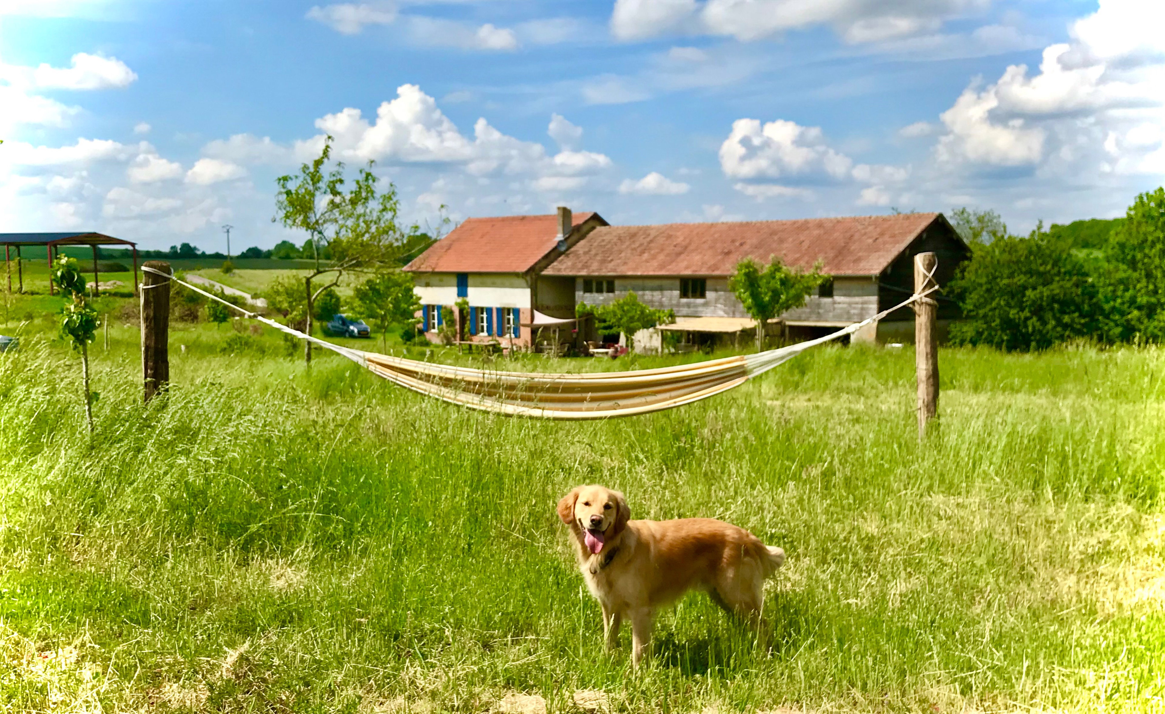 Natuurhuisje in La Mare aux Boeufs