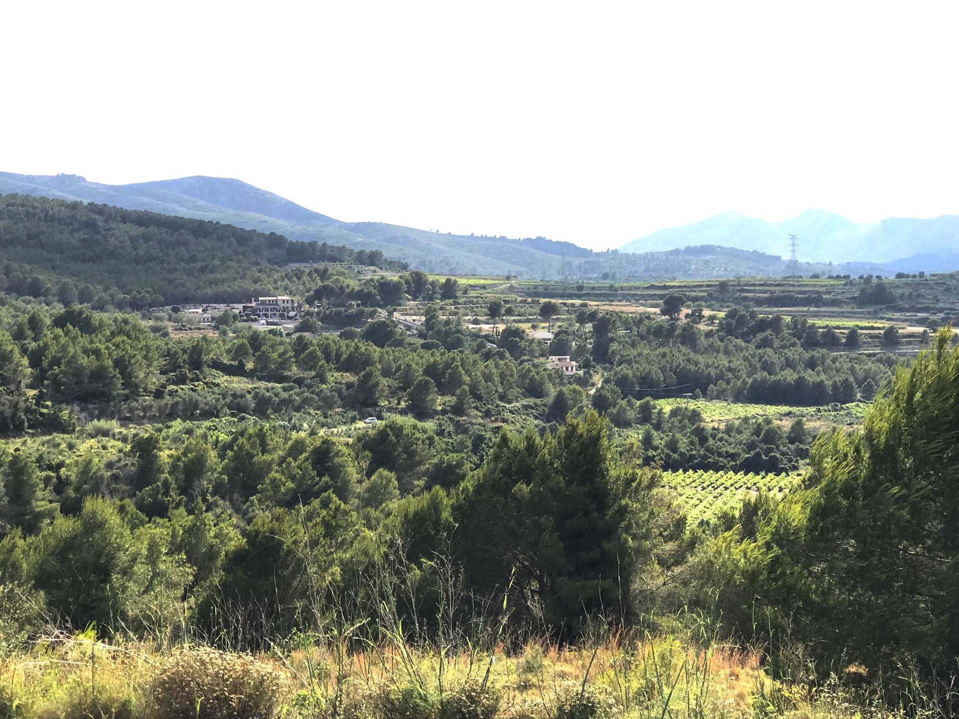 Maison nature à Jávea