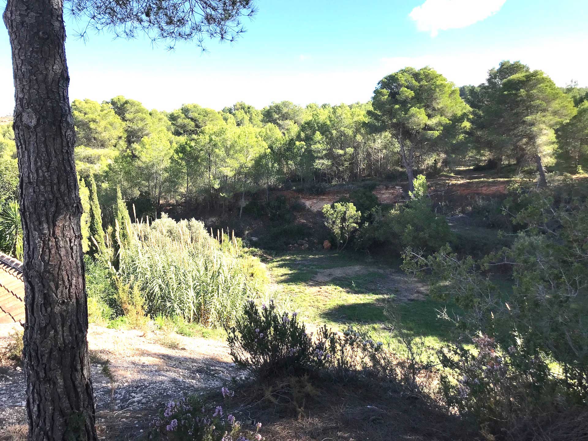 Maison nature à Jávea