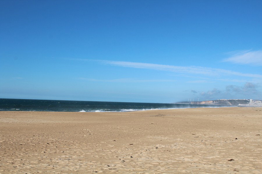 - image: 11