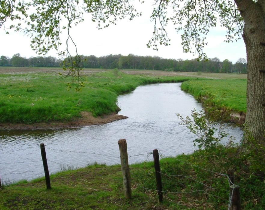 - image: 24