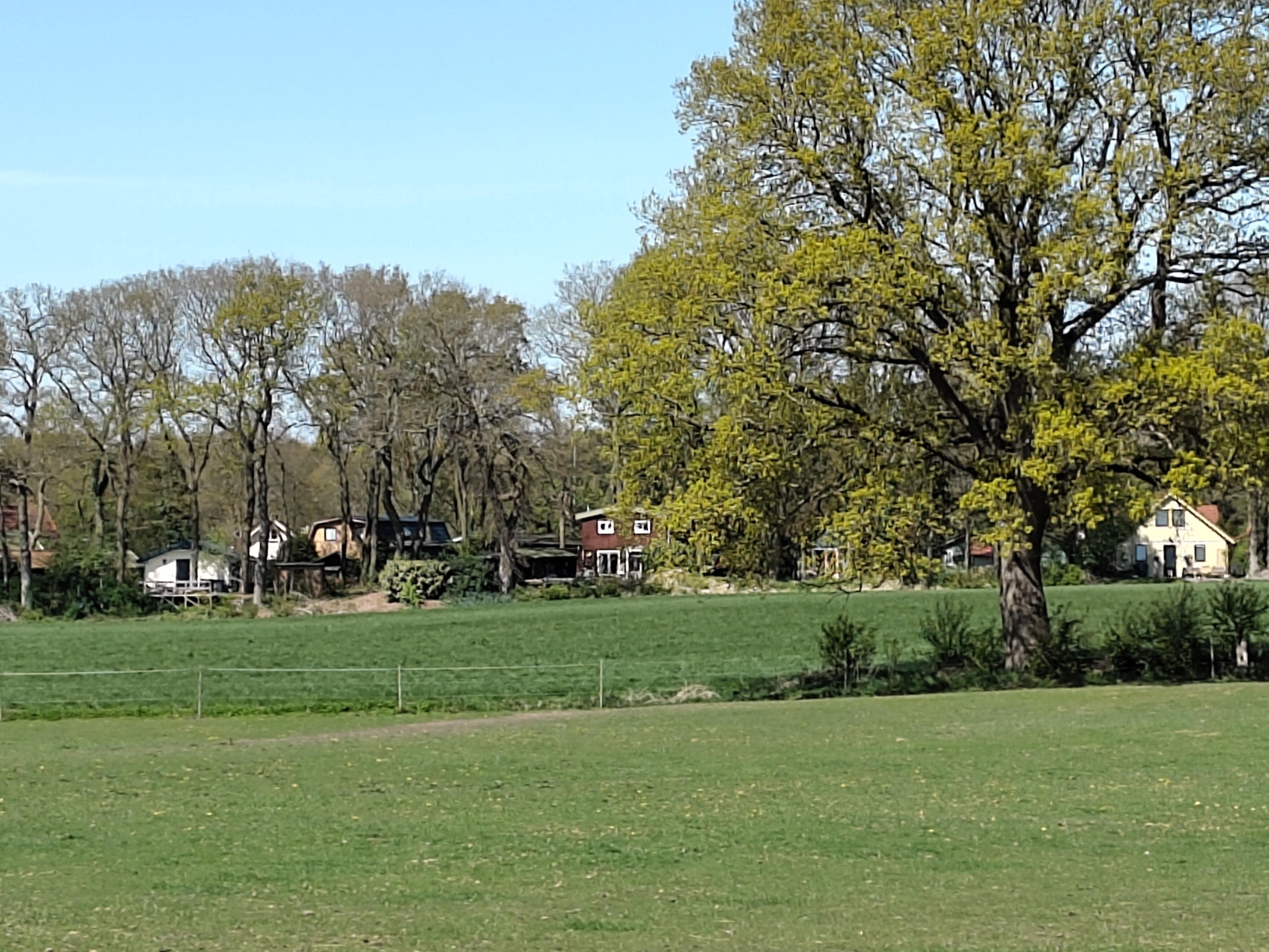 - image: 12