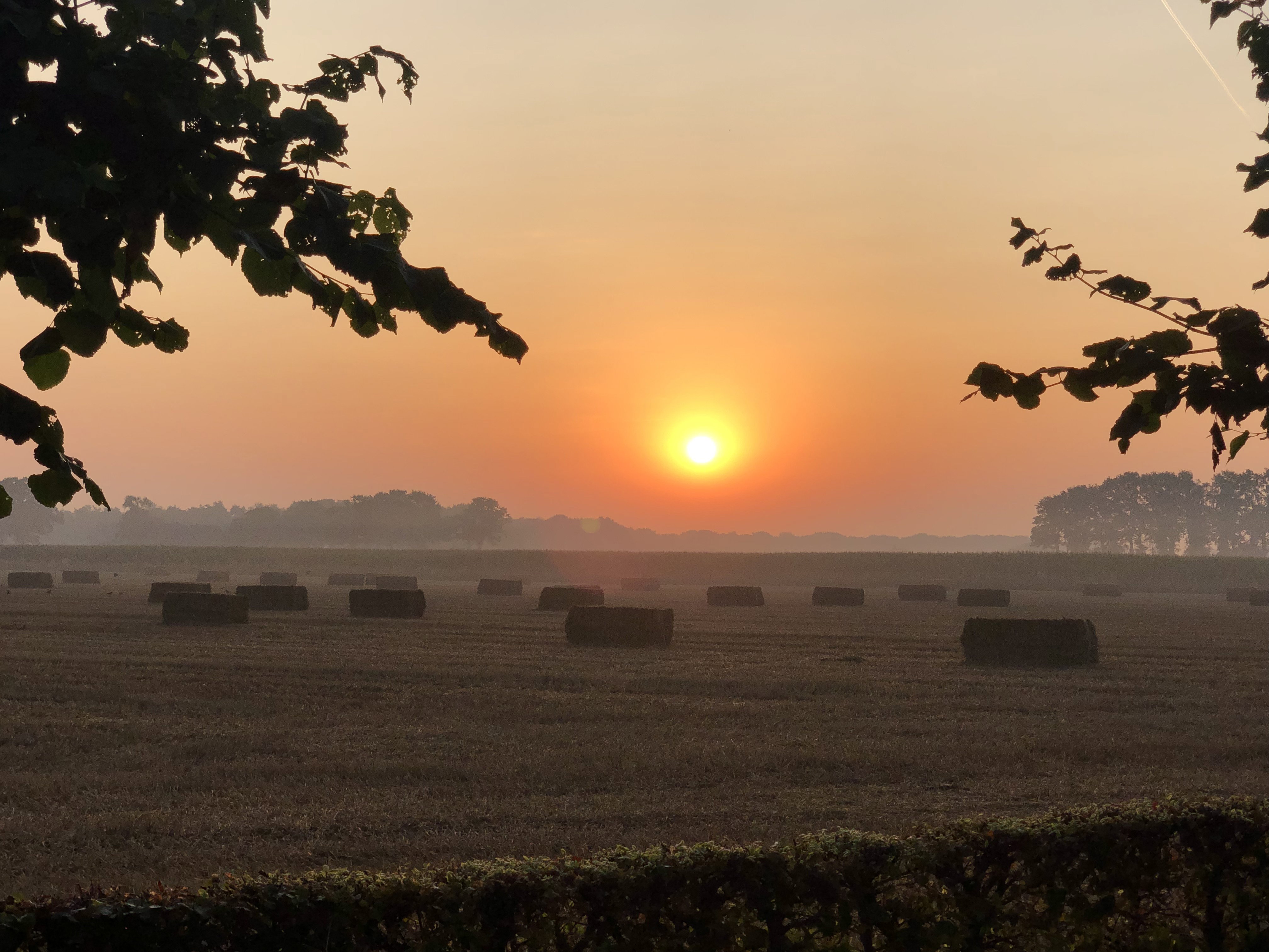 Naturhäuschen in Eefde