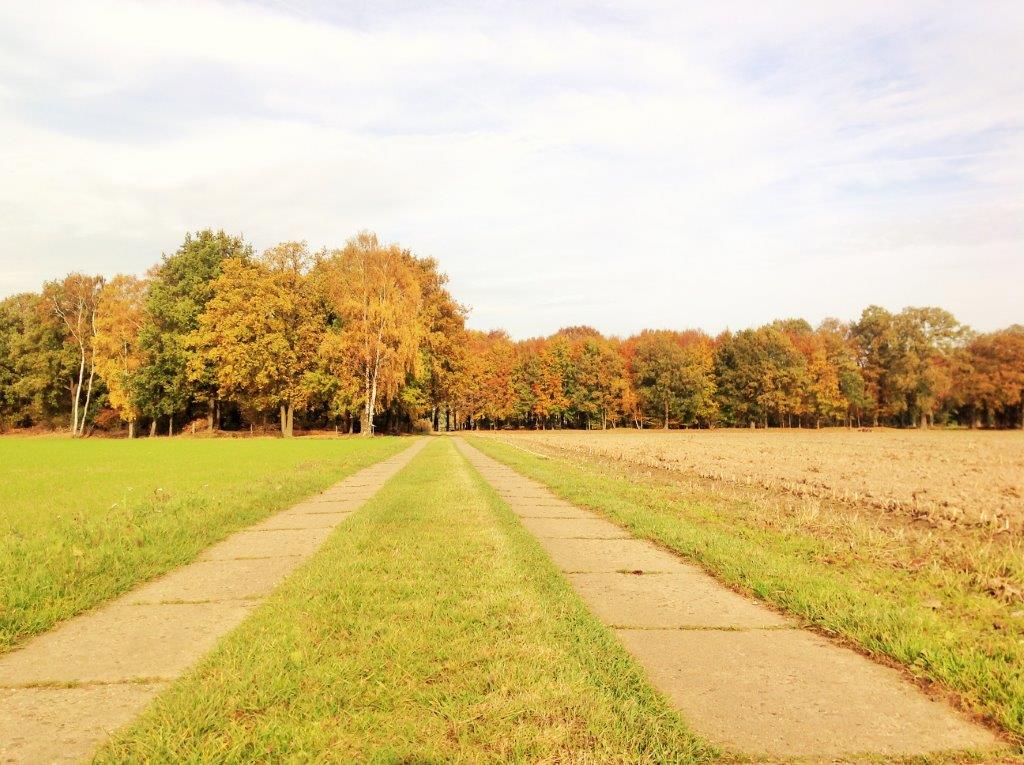Natuurhuisje in Eefde